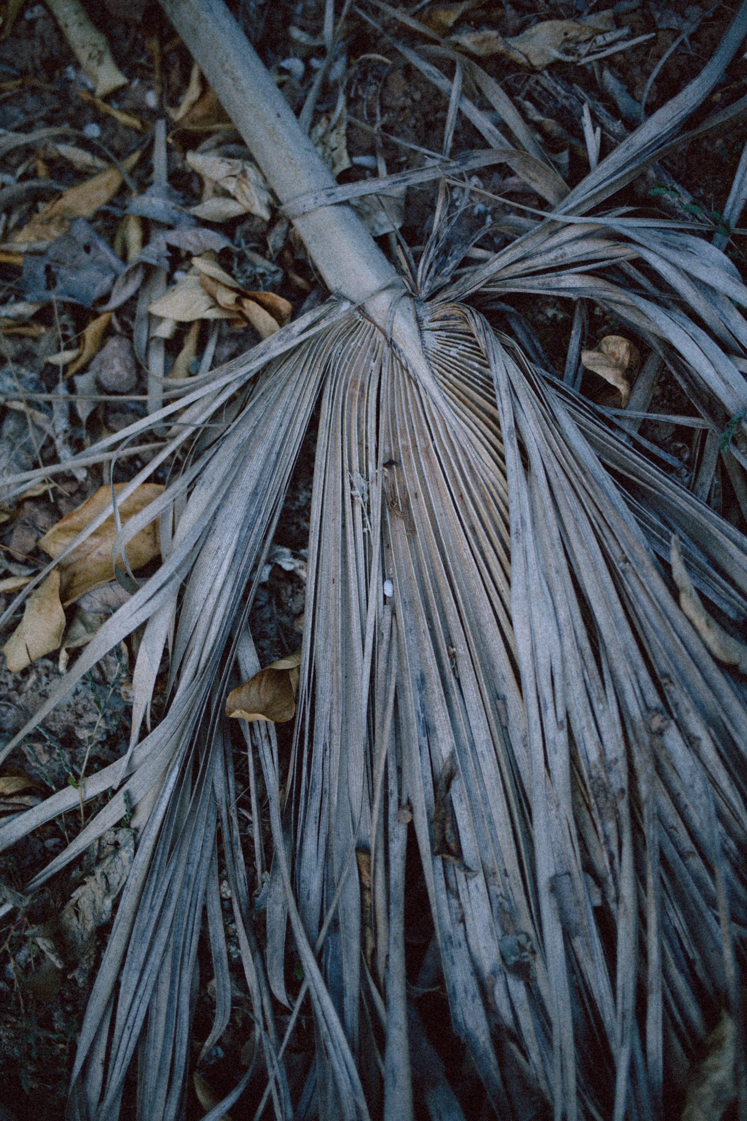 ART RESIDENCY. Marina Kálcheva – Photographer & Visual Artist in Barcelona