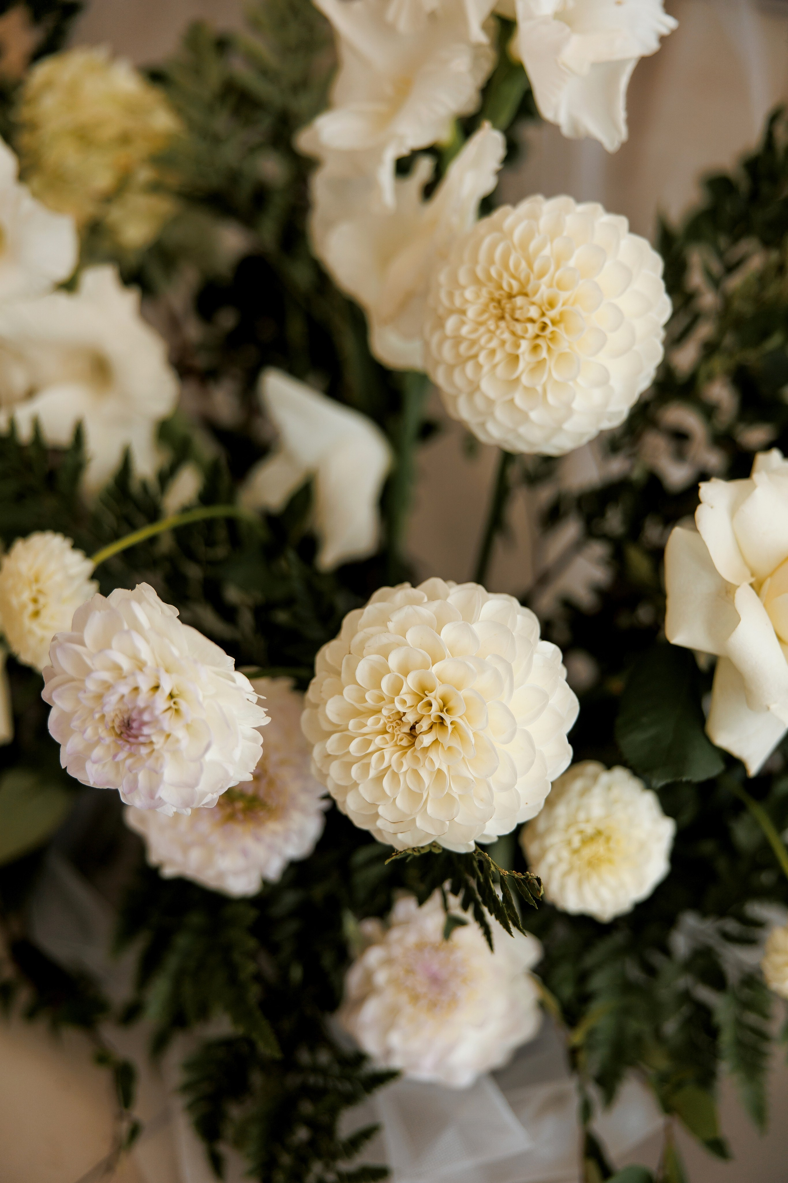 Y+M. Свадебный фотограф Каледич Тимофей