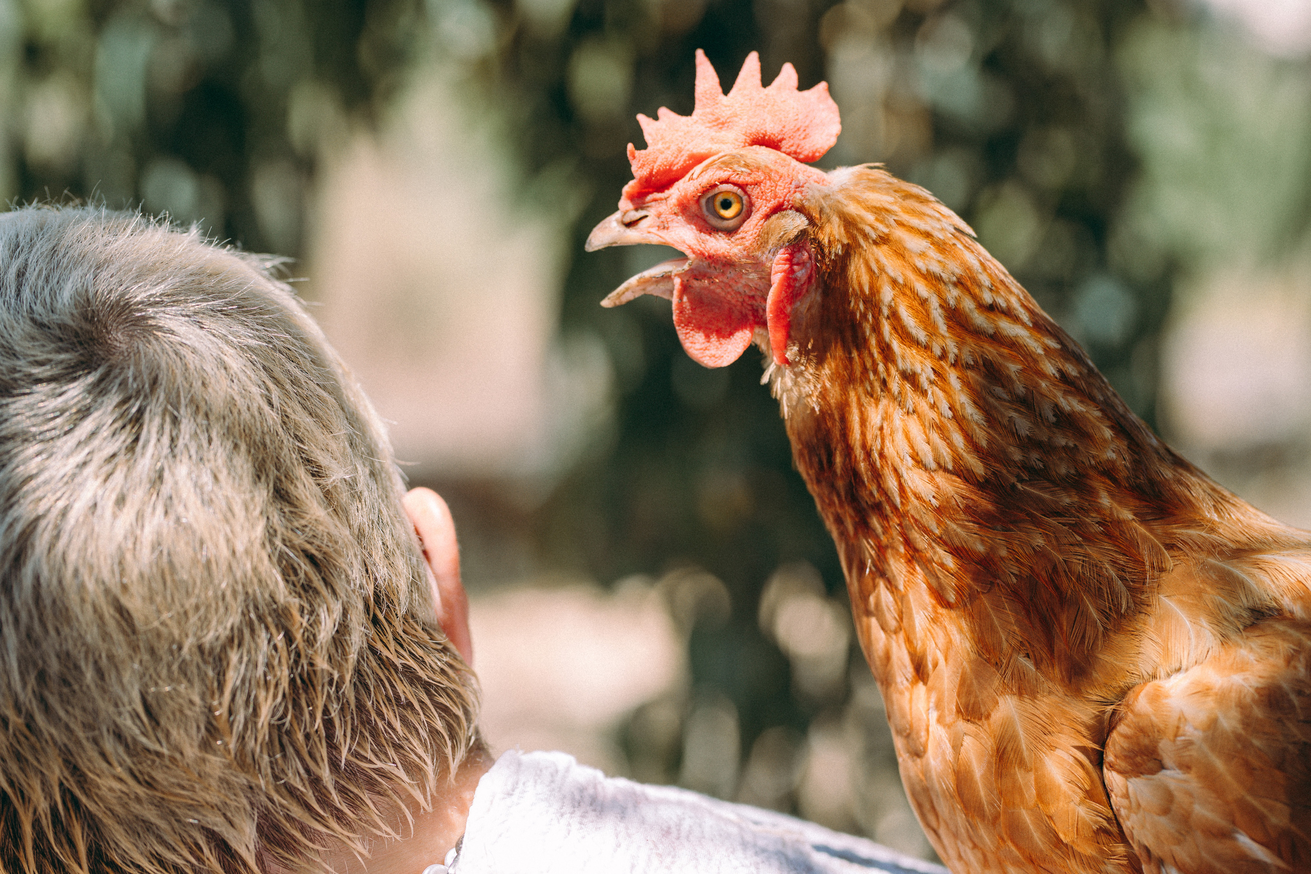 Sicilia Chicken Fashion. Valokuvaaja Lahti, Helsinki Elena Salonen