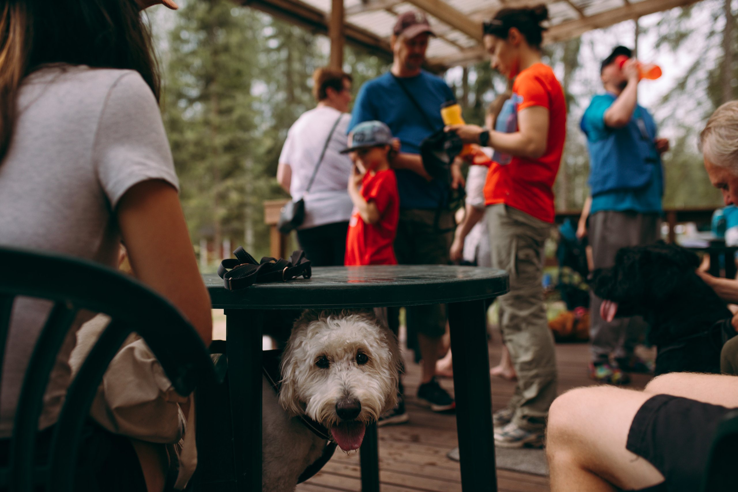 Tapahtuma valokuvaus