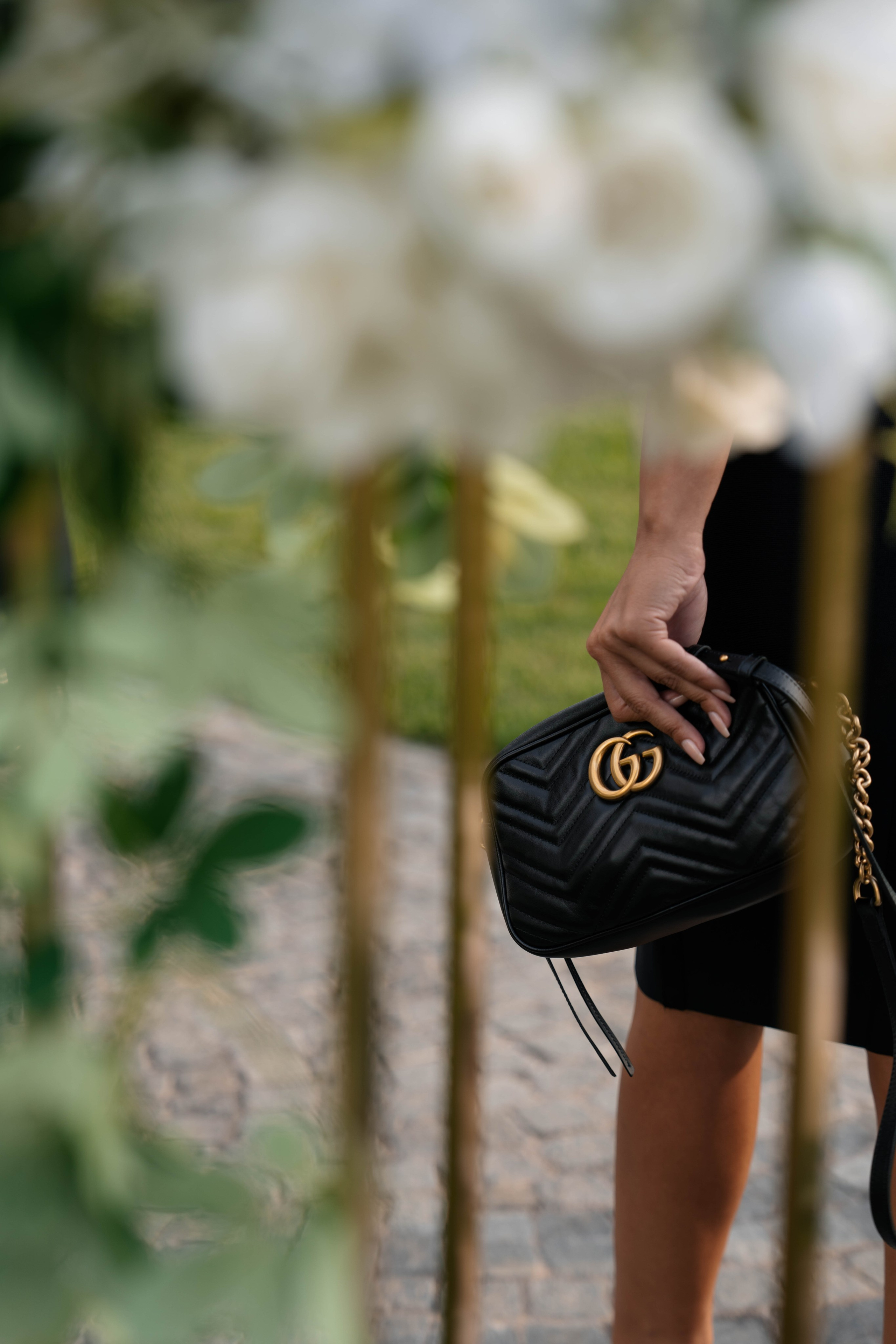 Cosmin & Georgiana. Studio Timis