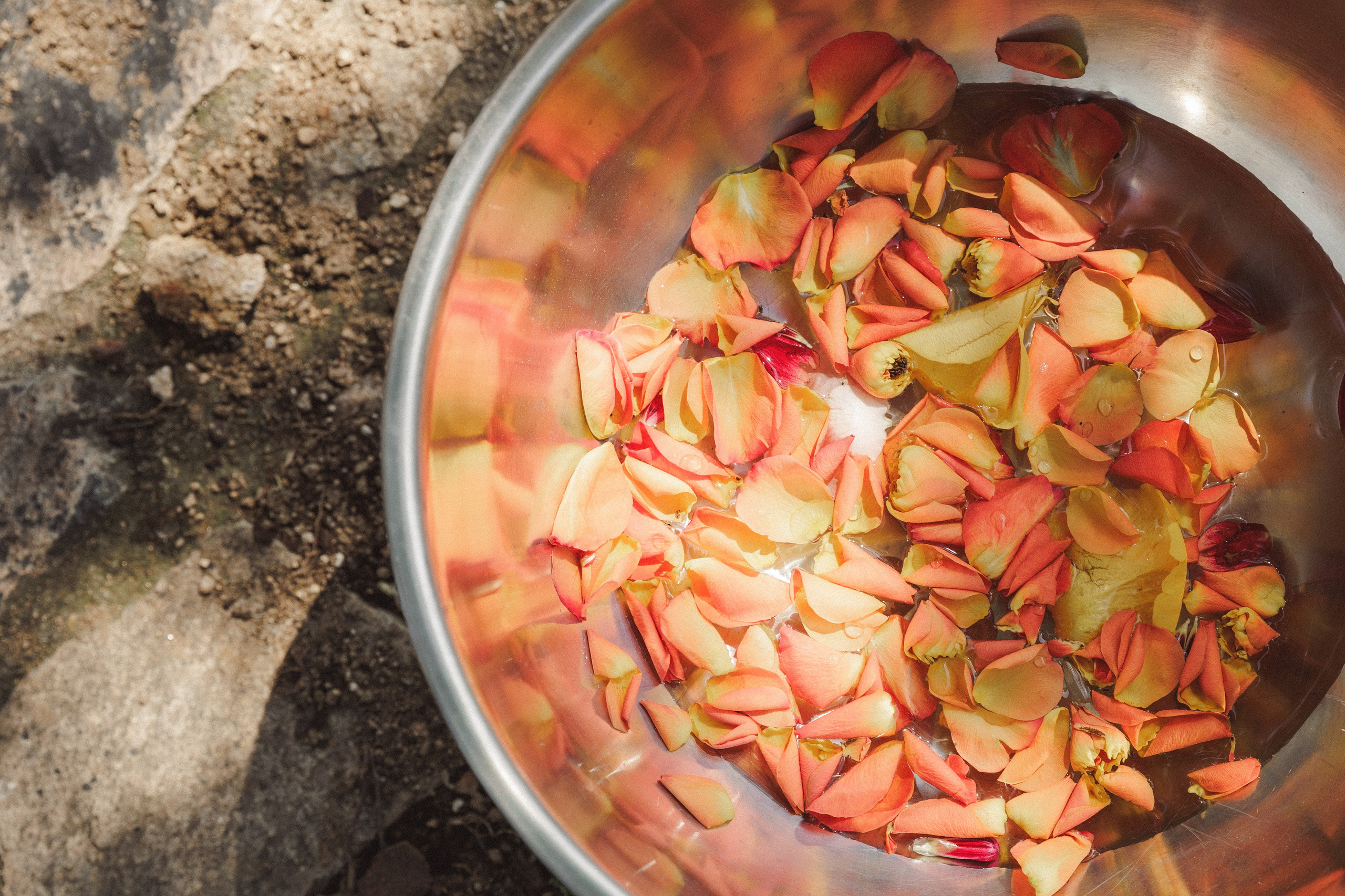 Patrik & Naomi. Monestir Sant Salvi. Paola wedding photographer / videographer in Barcelona