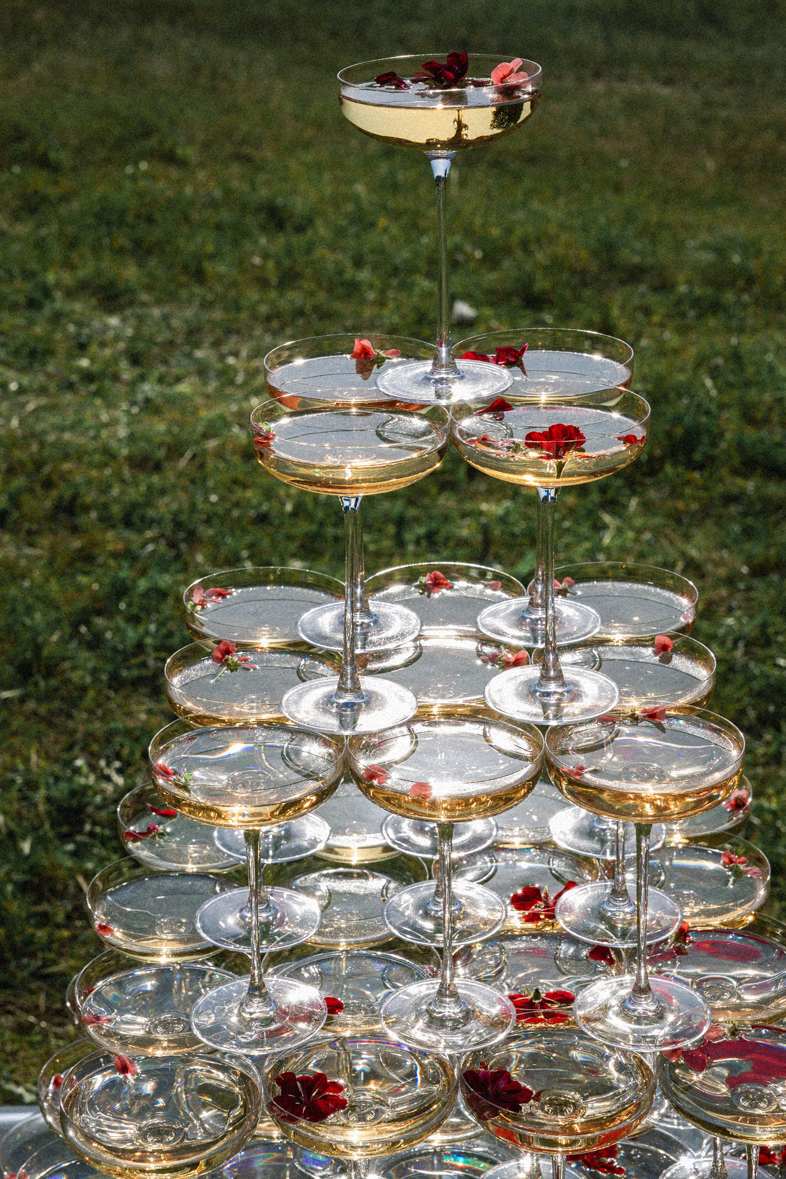 WEDDING. Hanna Datskevich