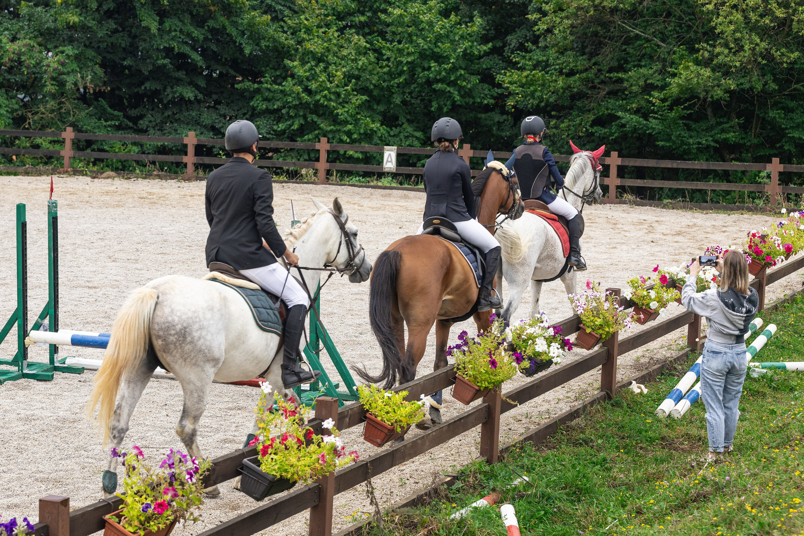 Show Jumping Competition Sarajevo is a photography series by photographer Namir Čomaga, presenting the dynamics of equestrian sport and show jumping competitions through sports and event photography.The photographs were created in Sarajevo, Bosnia and Herzegovina, documenting young riders, horses and competitive show jumping moments through carefully composed images capturing the precision, strength and elegance of equestrian sport.This gallery is part of the author's photography portfolio, focusing on Sarajevo photography, Bosnia and Herzegovina photography, sports photography, equestrian photography and event photography.
