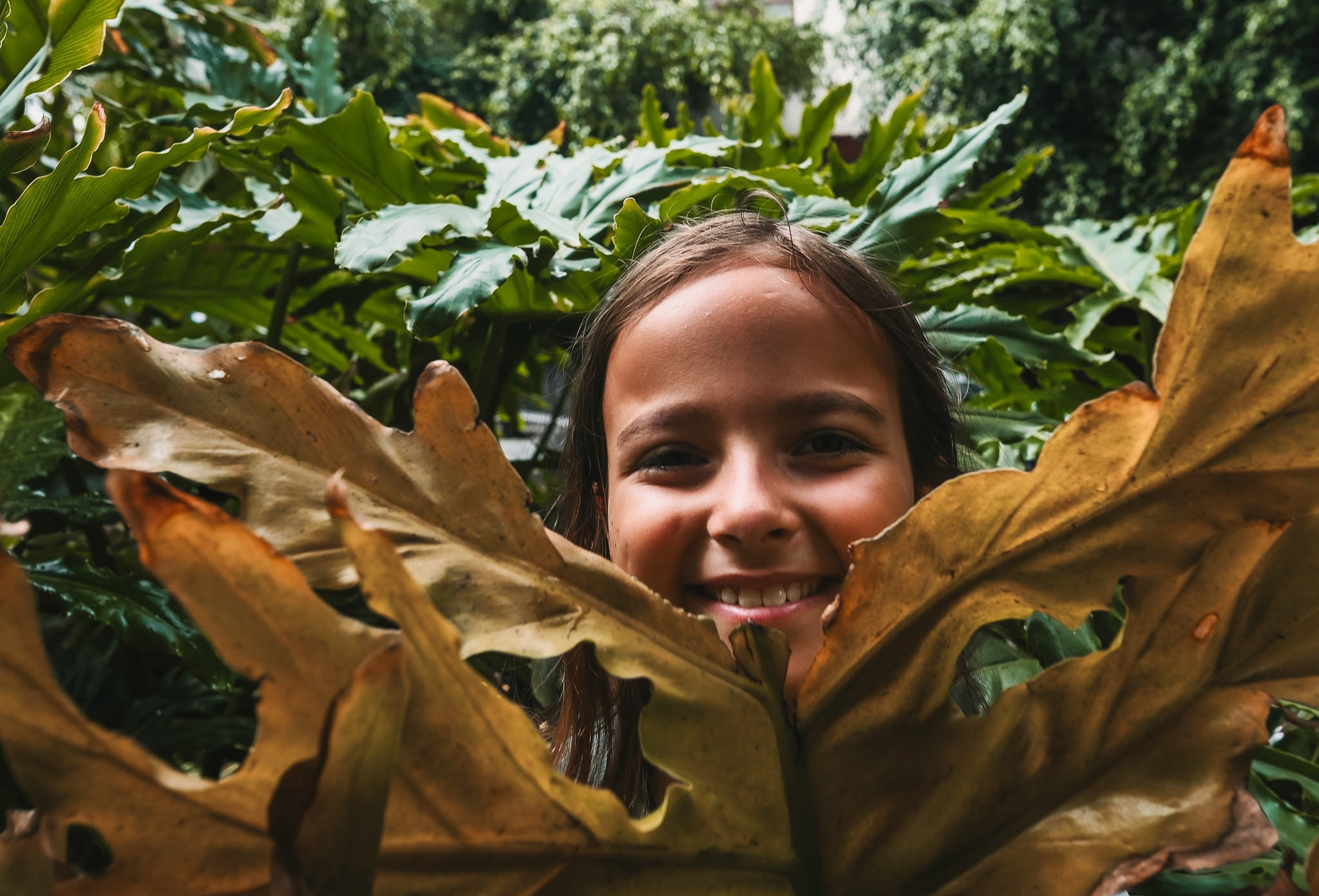 Walker Family. Wedding and family photographer in Mexico City