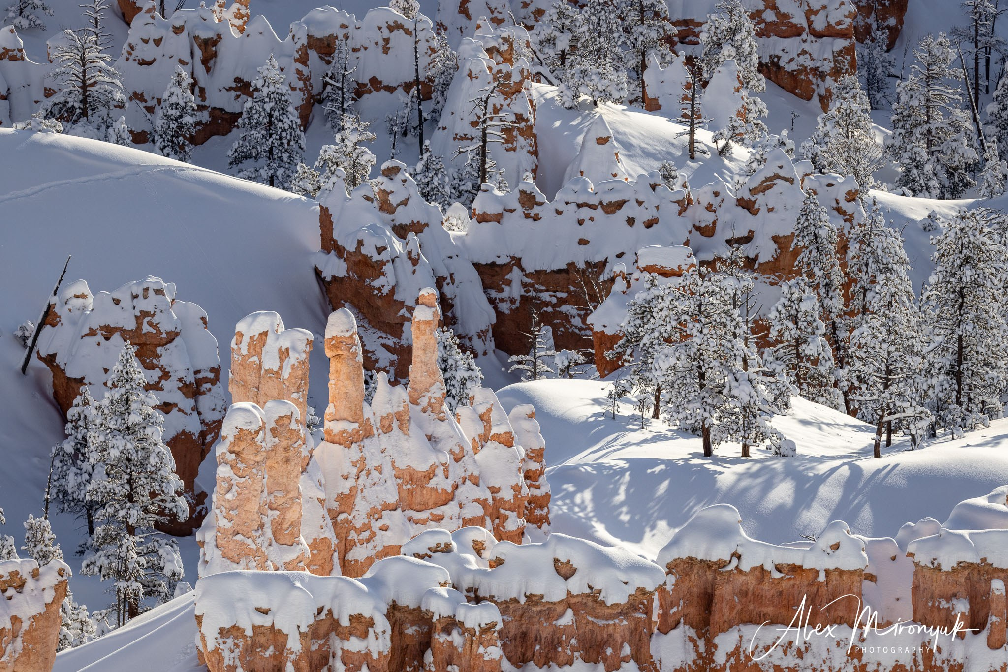 New Year In Utah. Pet, Senior, Landscape, portrait studio, photographer in Miami and Sou