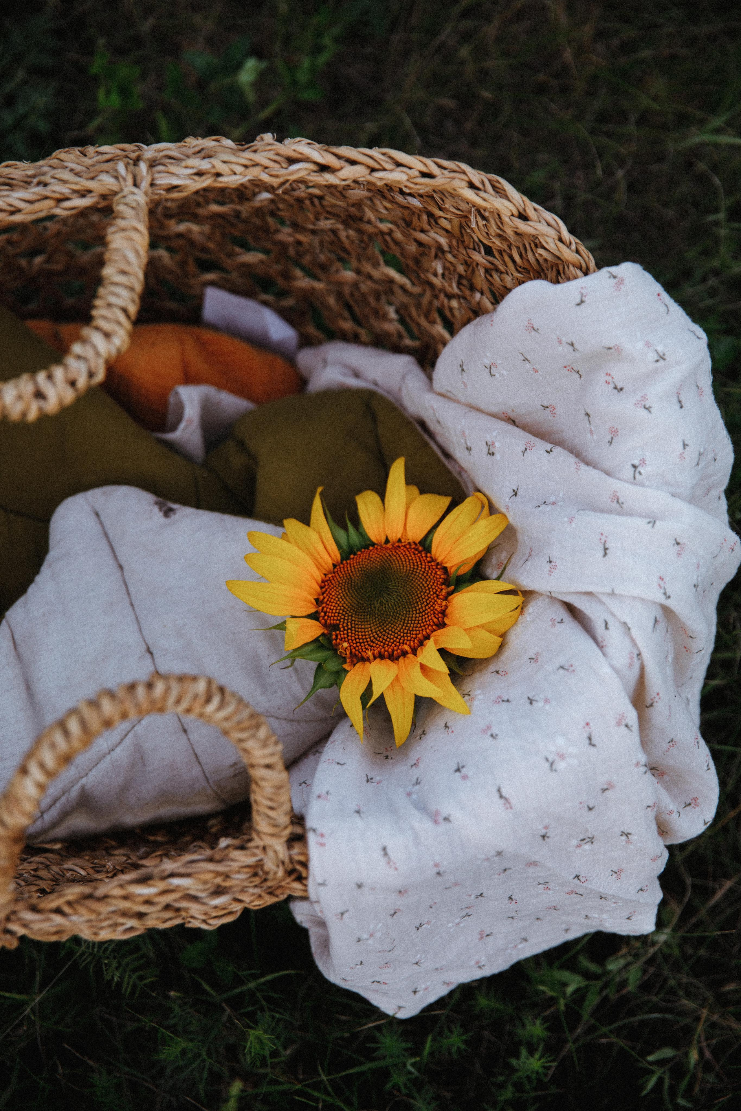 Дачное детство. Фотограф в Будапеште Рита Горбачева