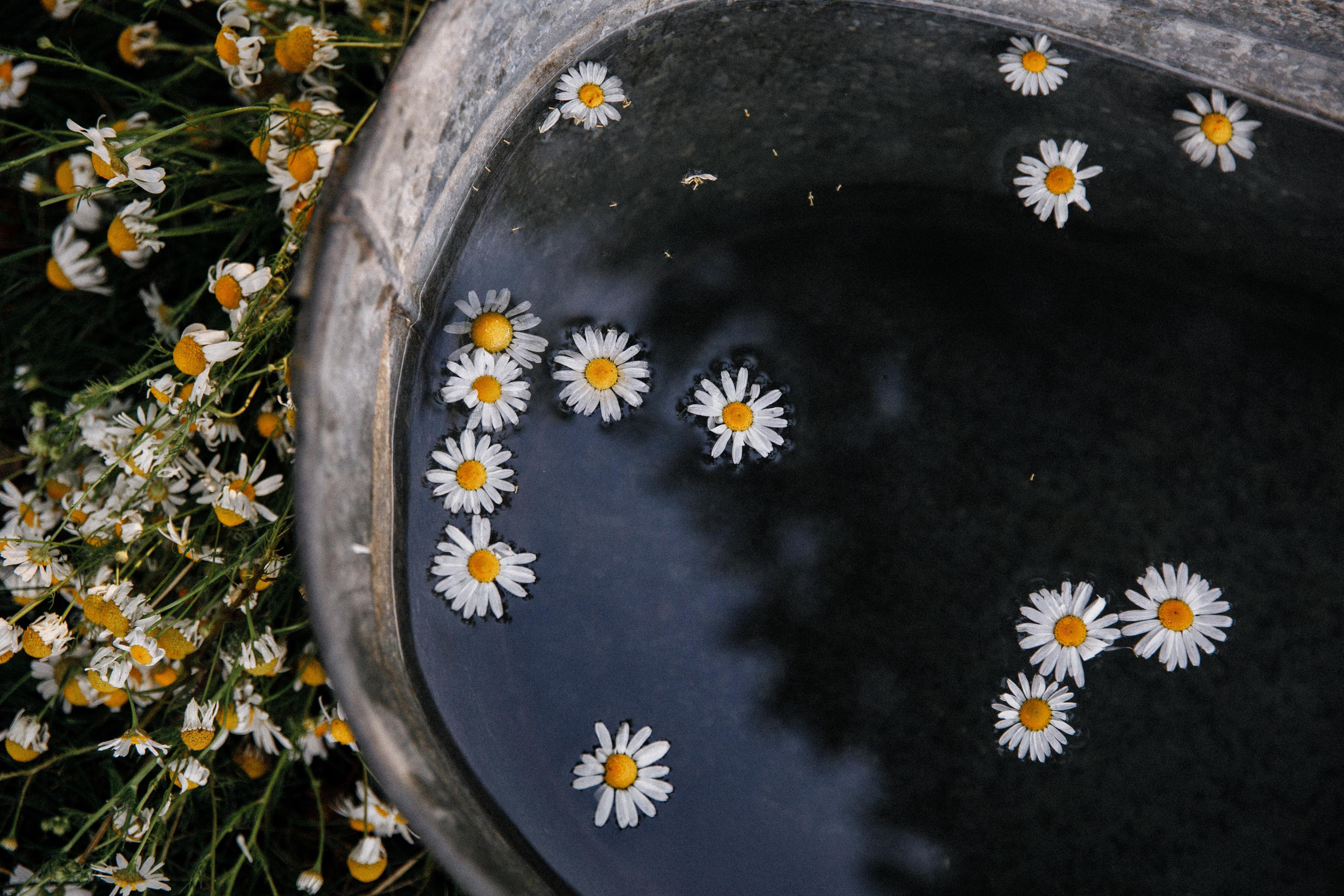 Дачное детство. Фотограф в Будапеште Рита Горбачева