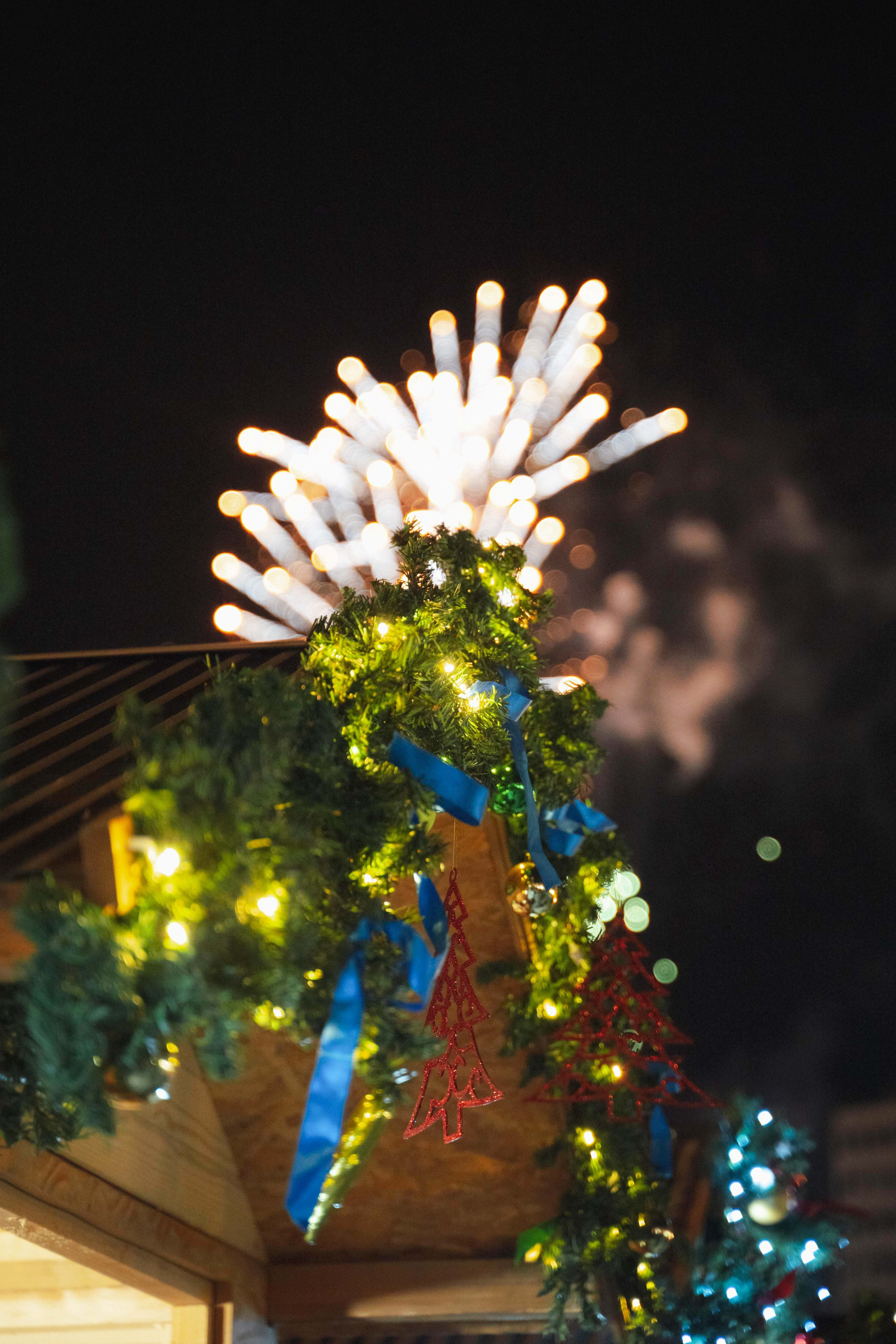 Novosadski Zimzolend. Жуков Студио