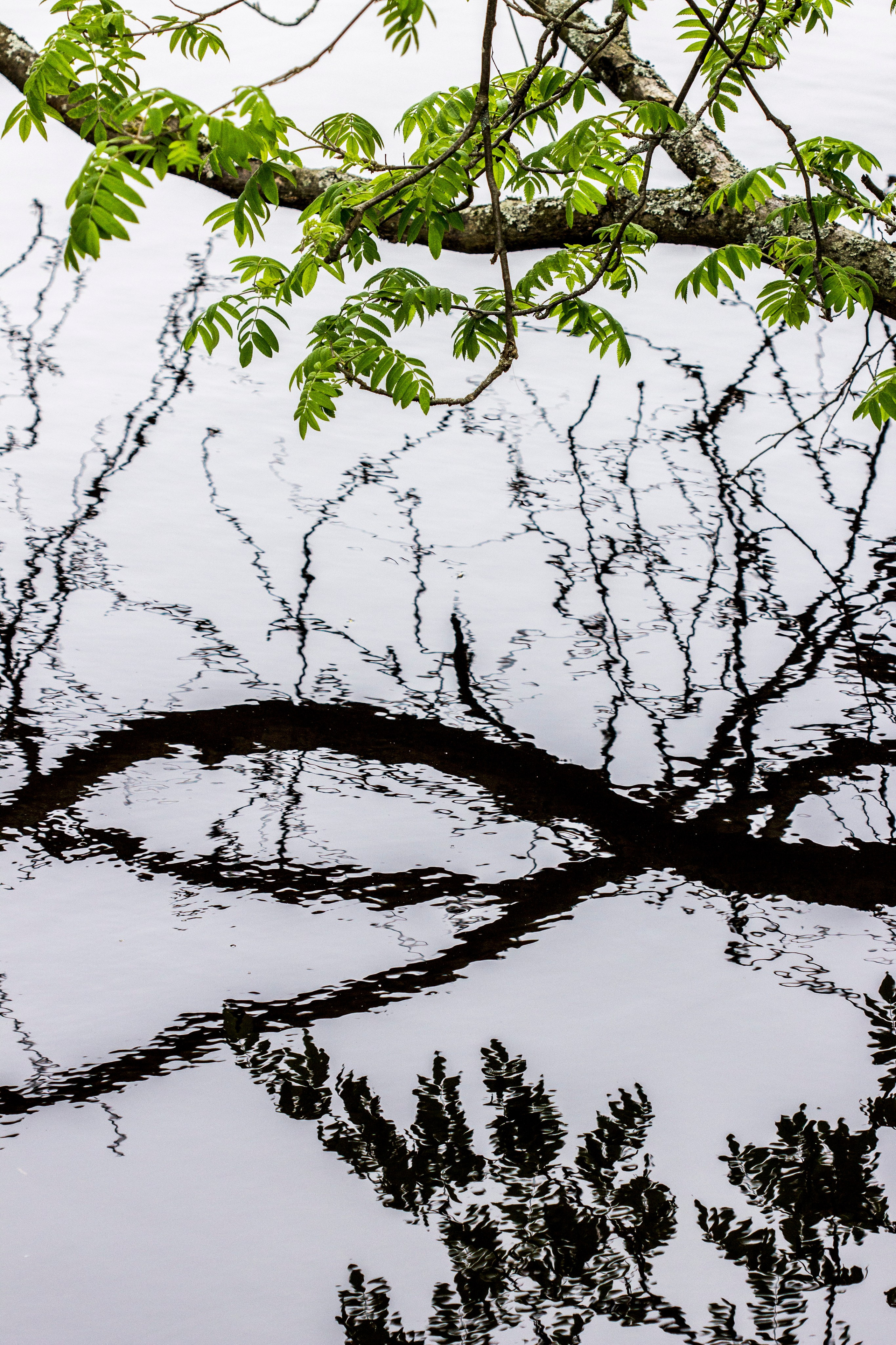 Работы учеников. Фотограф и преподаватель фотографии в Белграде