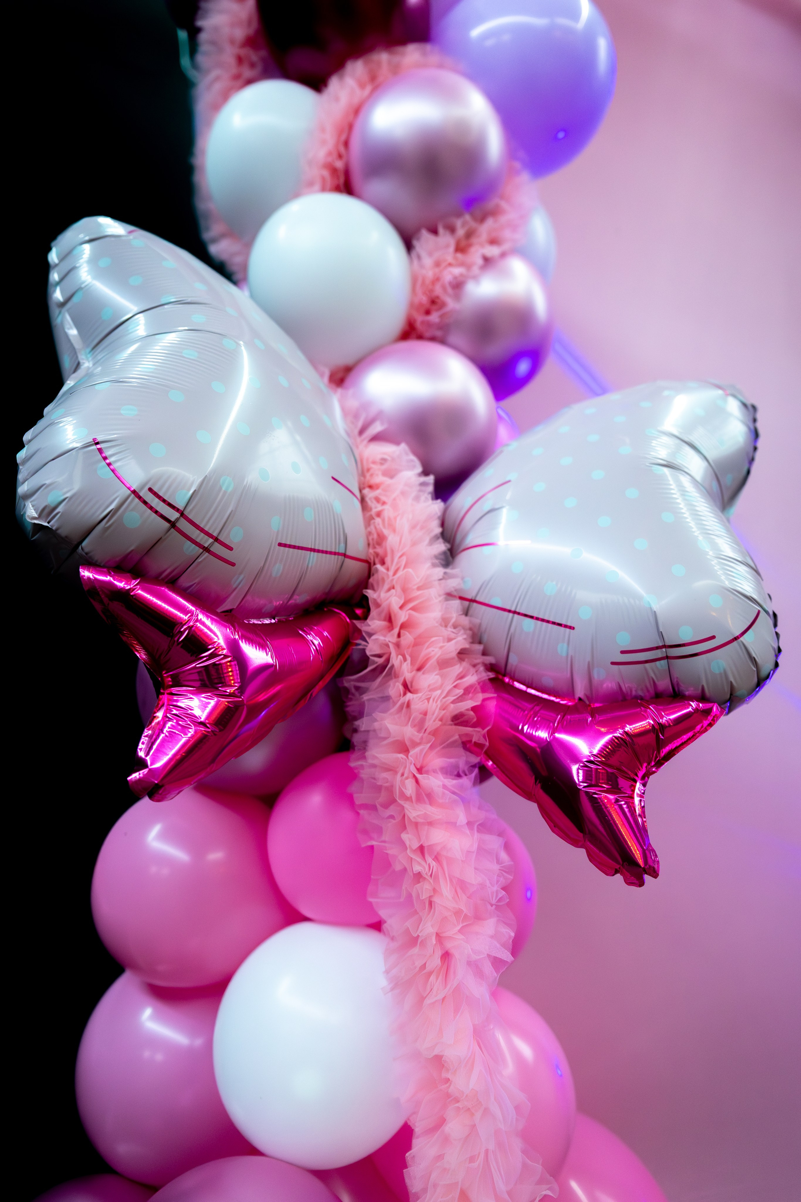 Rosa Antonia 14.03.2026