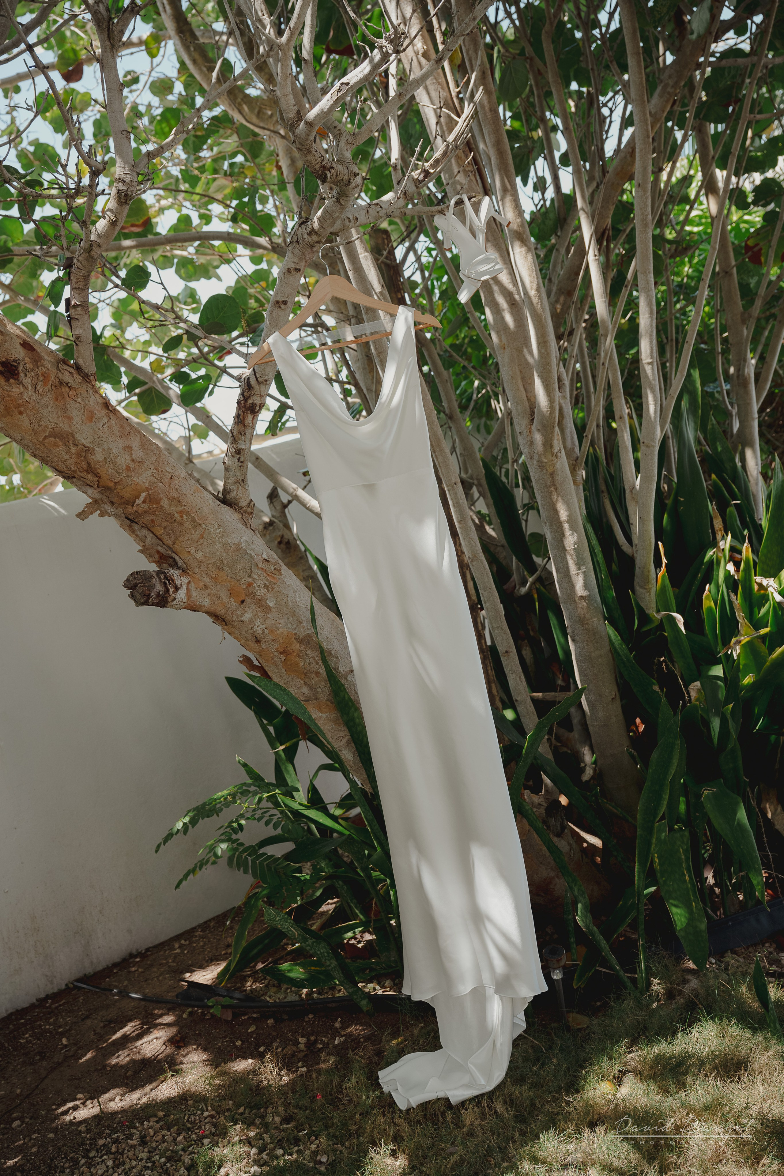 Destination Wedding on Isla Mujeres