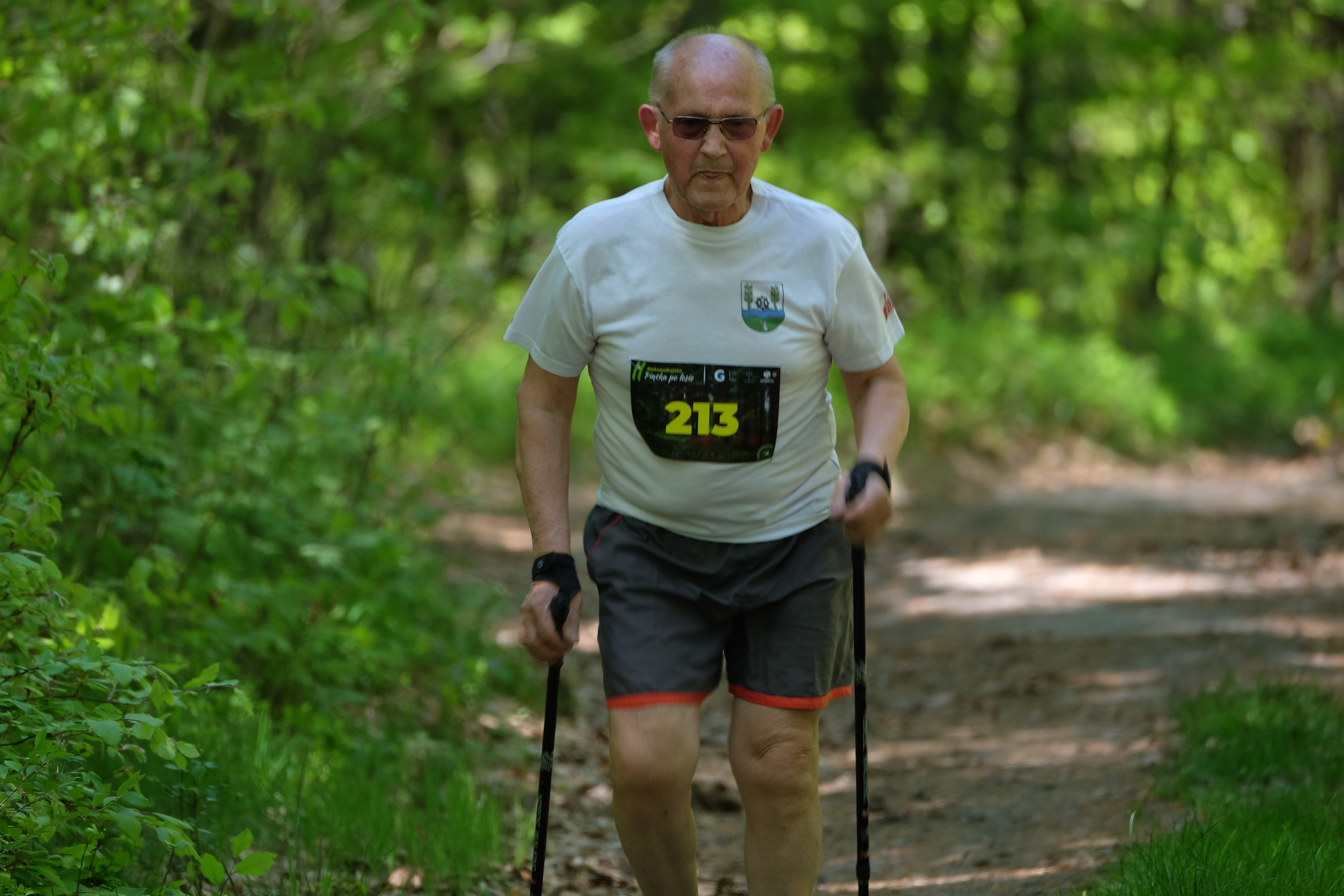 Aleksandryjska Piątka po lesie. Main