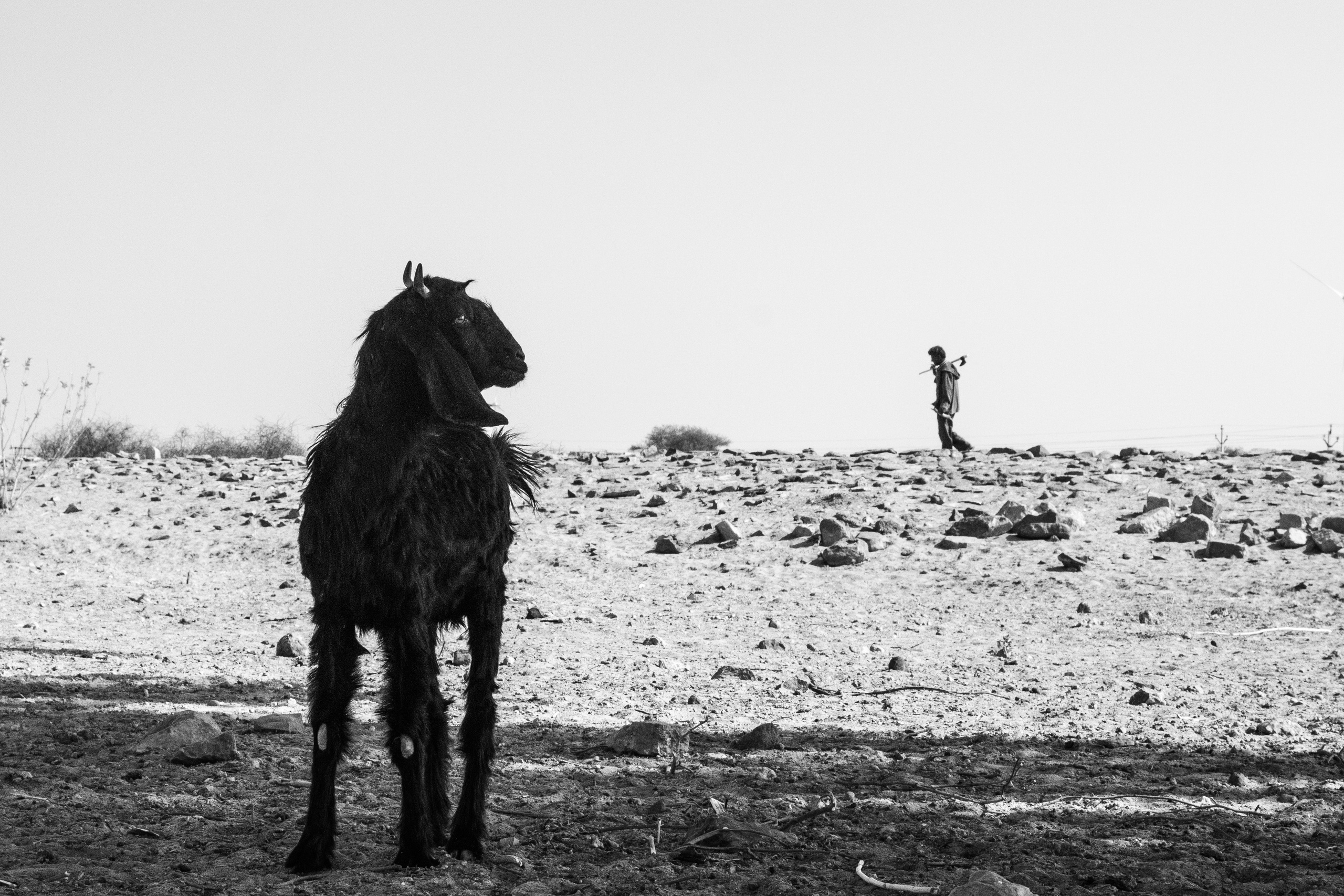 Red Curry. Natalia Roshchenko, Photographer in Brussels, Belgium