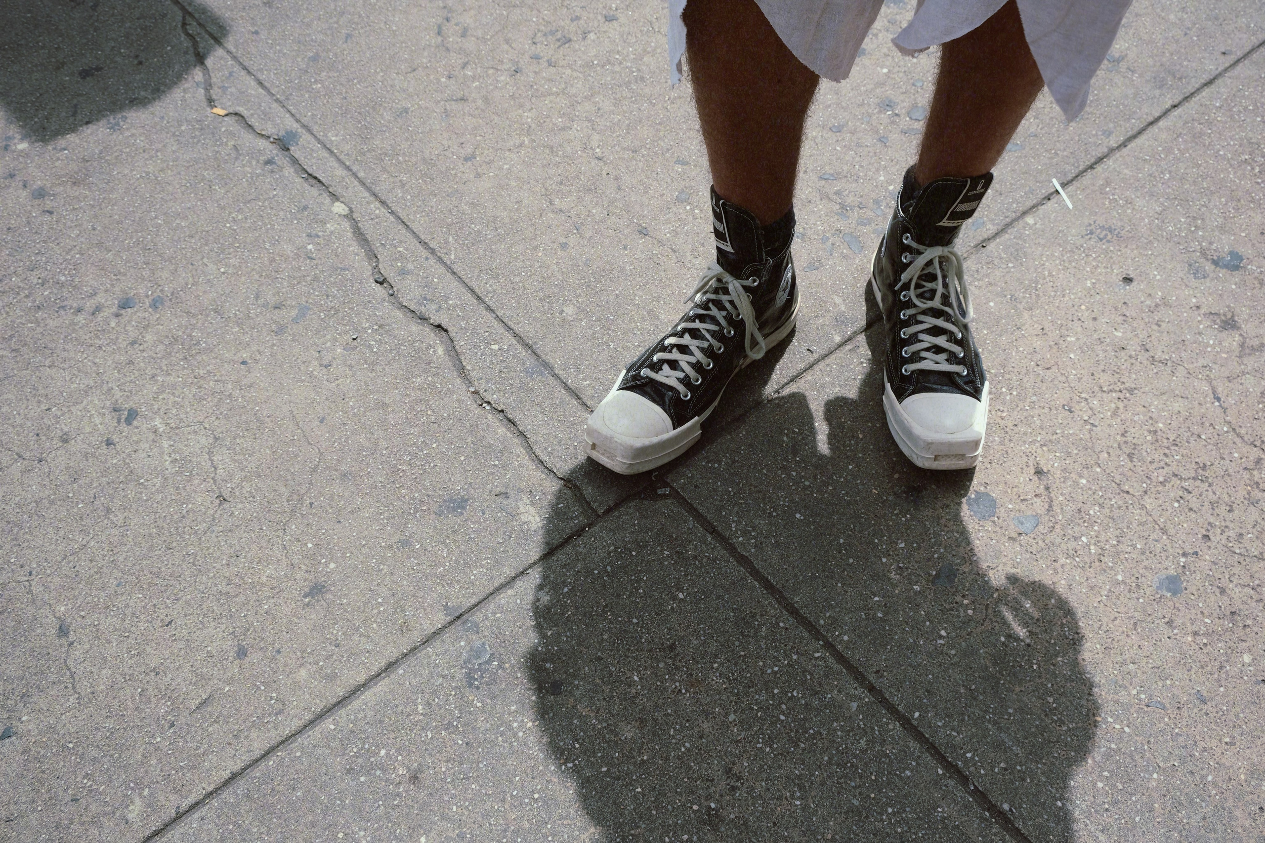 Ferdinand. New York Photographer Sveta Zemskova, NYC Photo