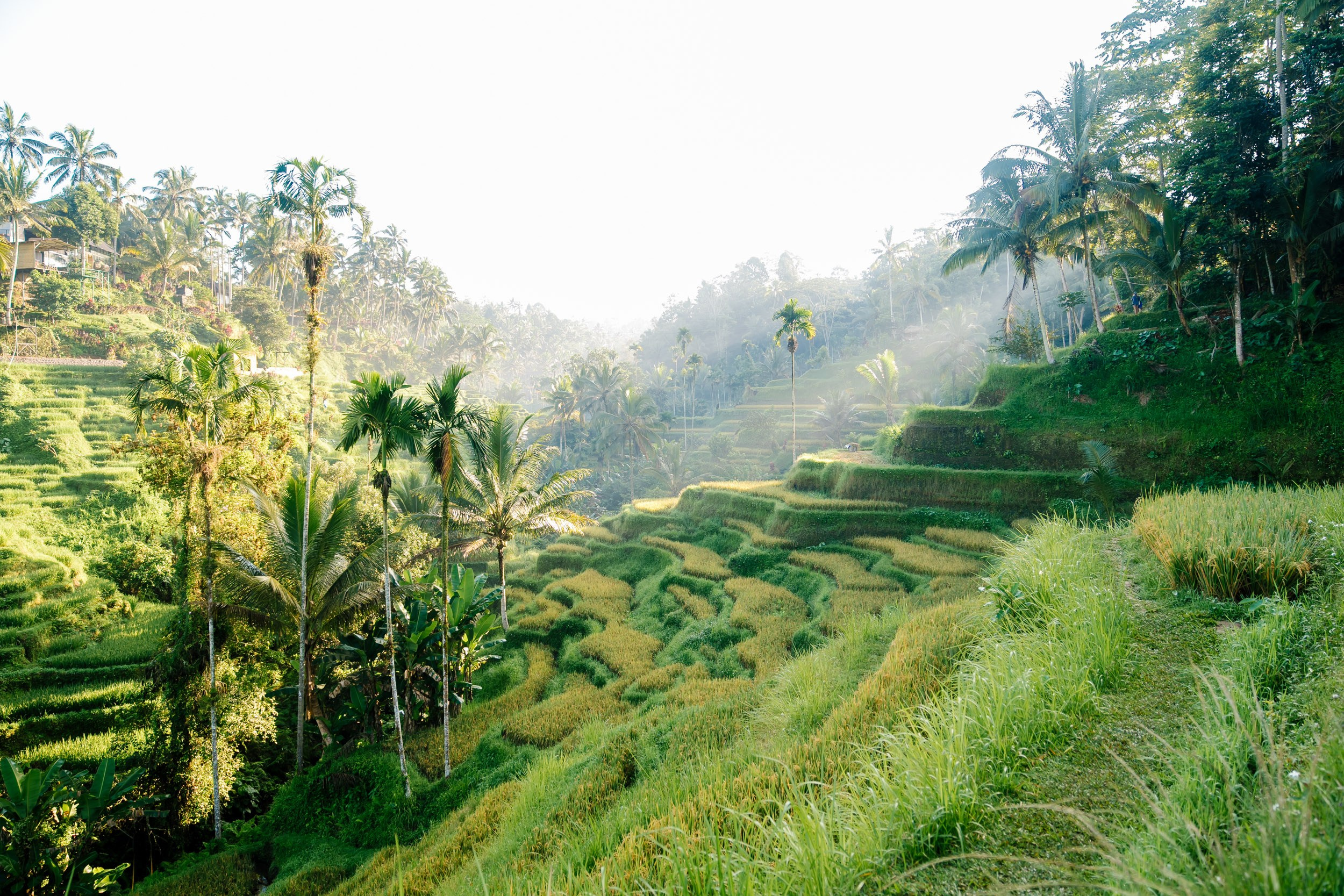 James Rose Marriage Proposal. Female Photographer in Bali
