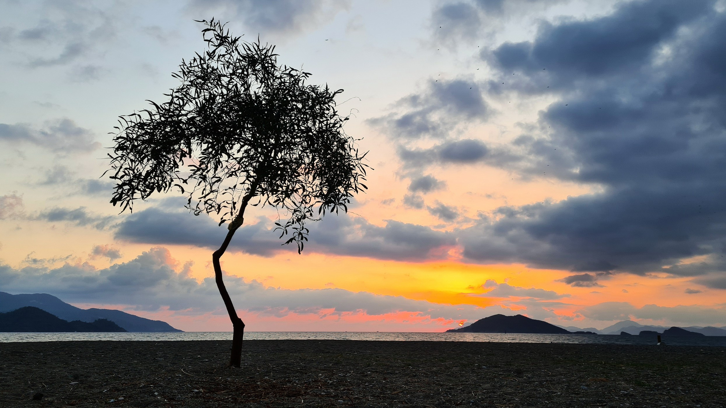 Landscapes by Yury Popkov. Yuri Popkov | Photographer