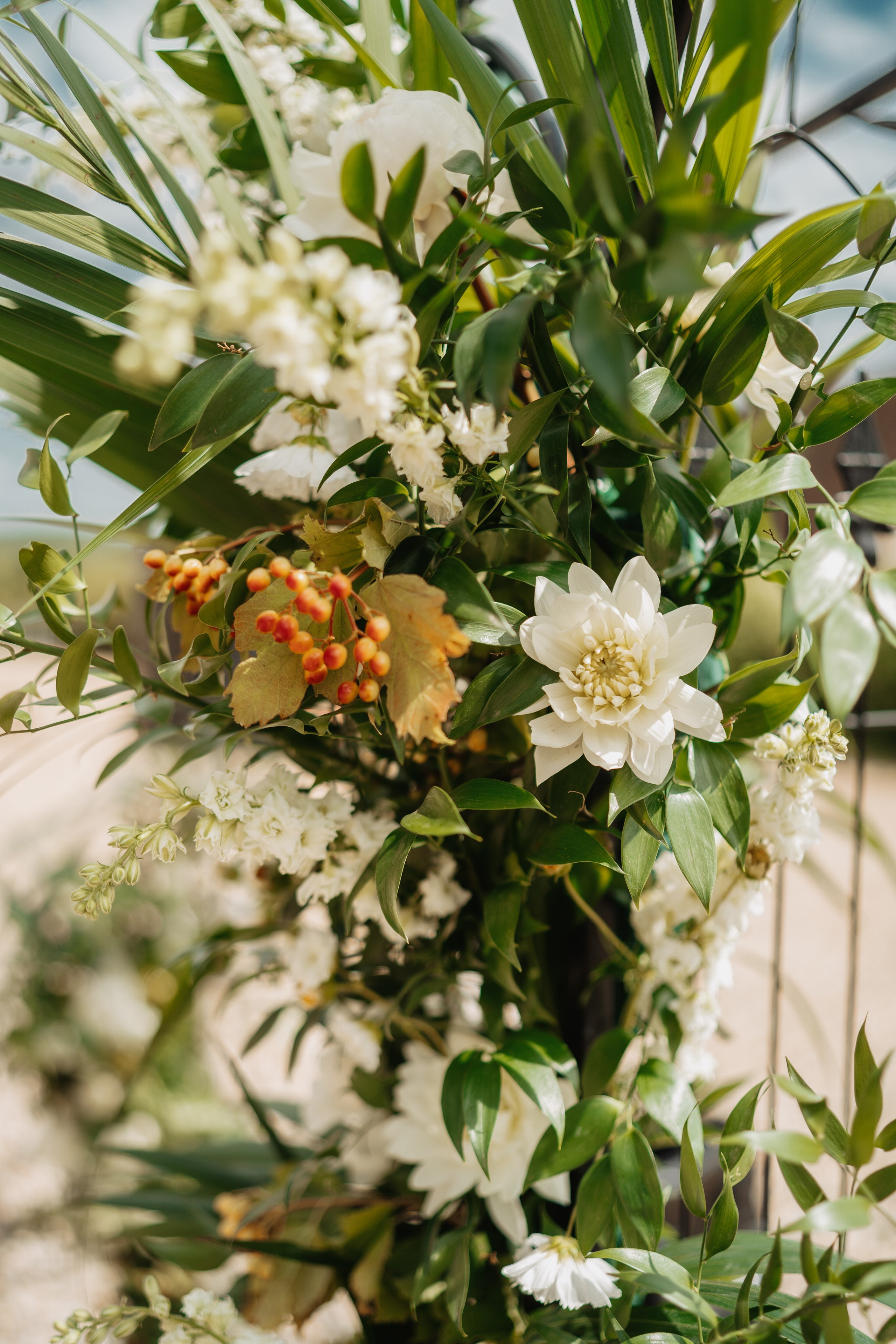 Anthony & Milena. NSJ — Wedding Studio