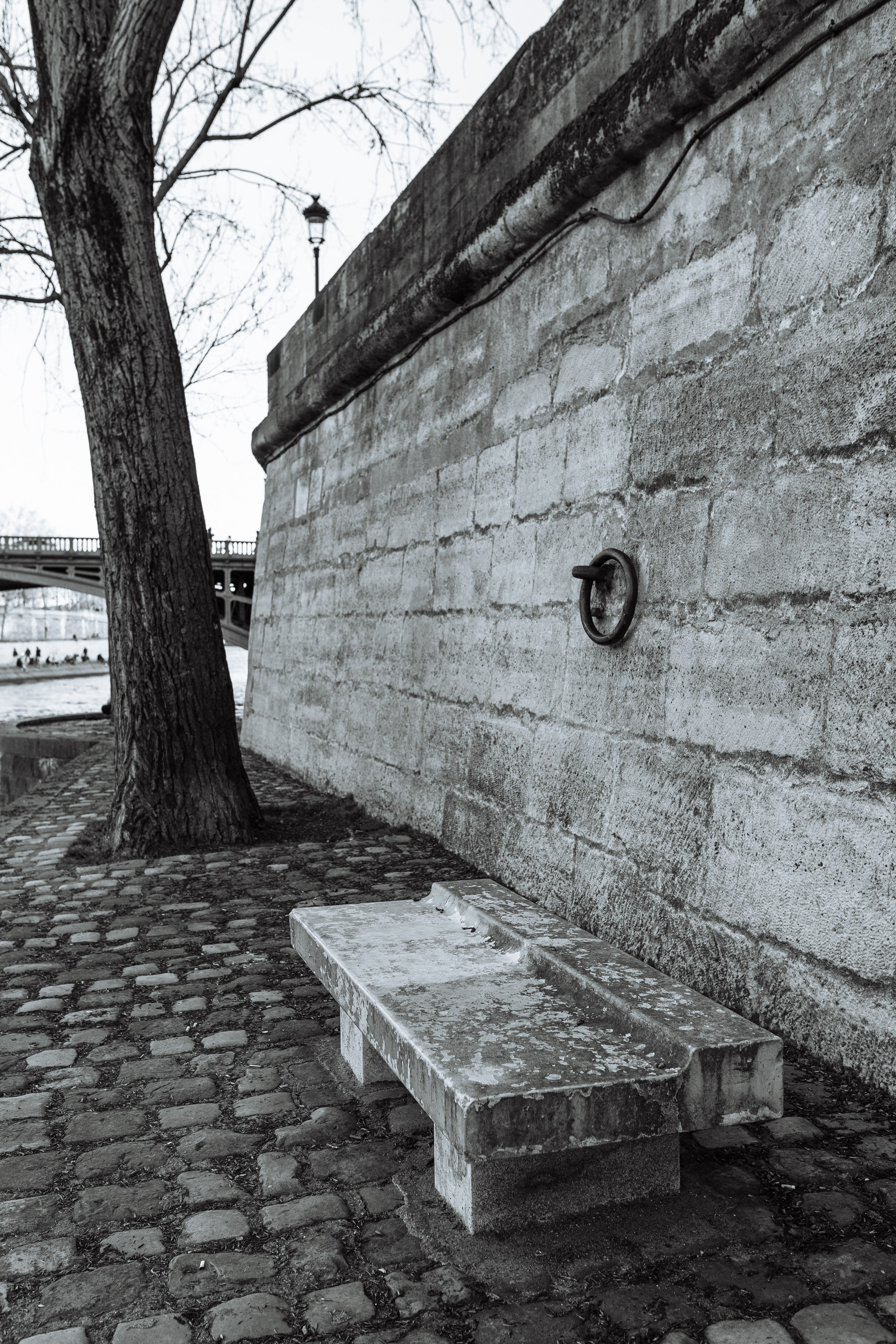 СЪЁМКА СЕБЯ_НОВЫЙ МОСТ, СИТЕ и СЕН-ЛУИ