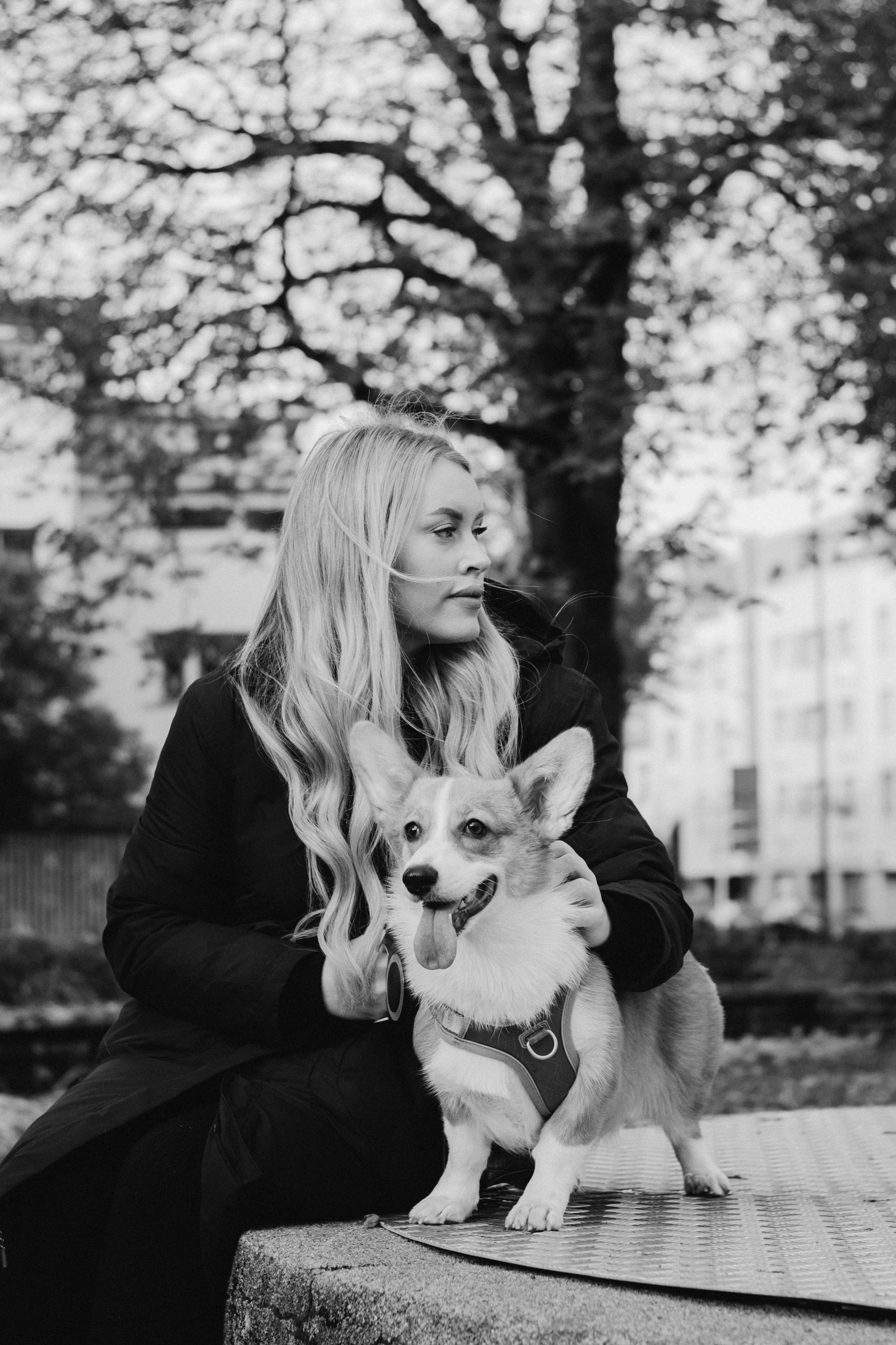 Corgi party, october. Kat Laisaar — Pet photographer in Tallinn