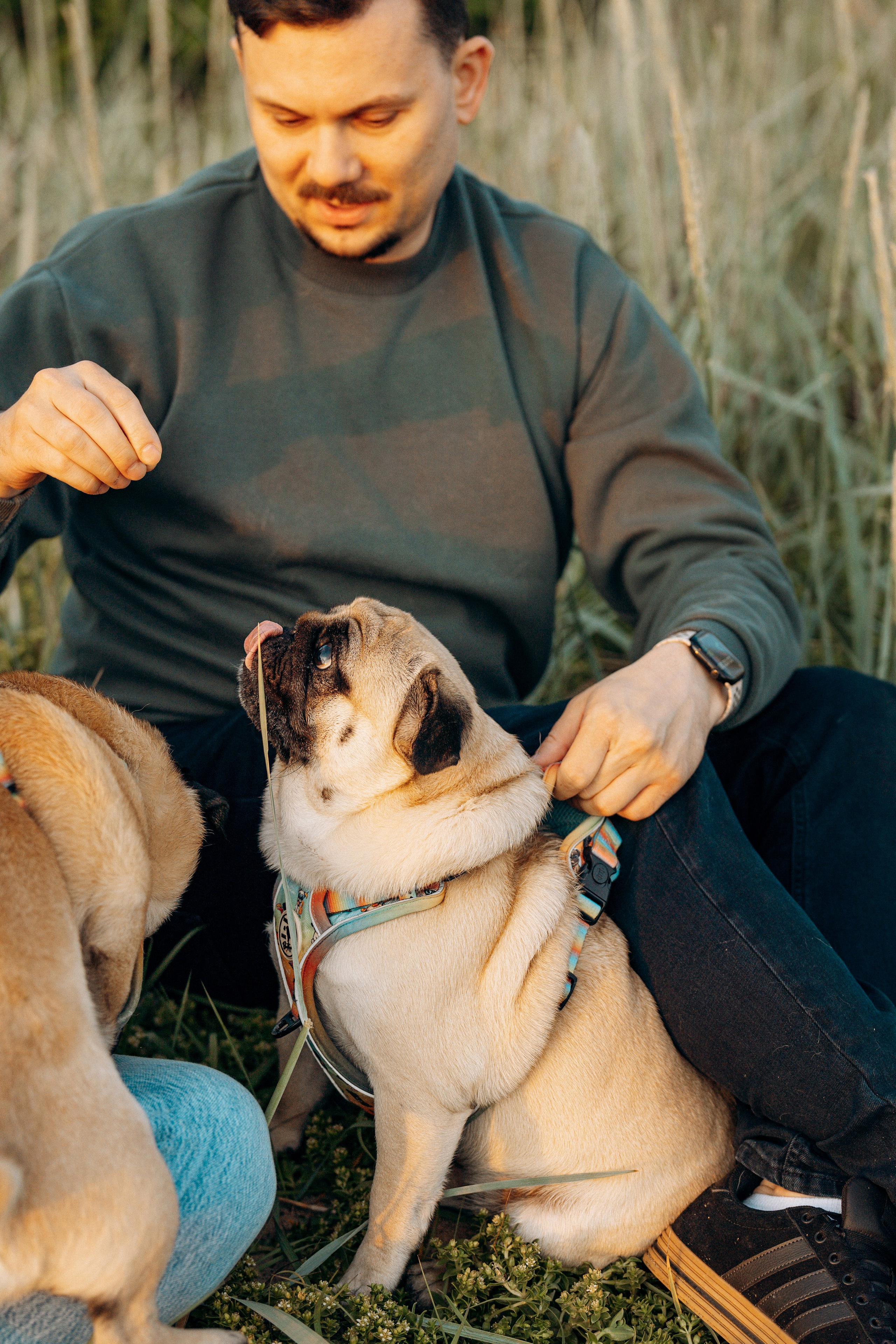 Frank, Tony, Katerina & Lev. Kat Laisaar — Pet photographer in Tallinn