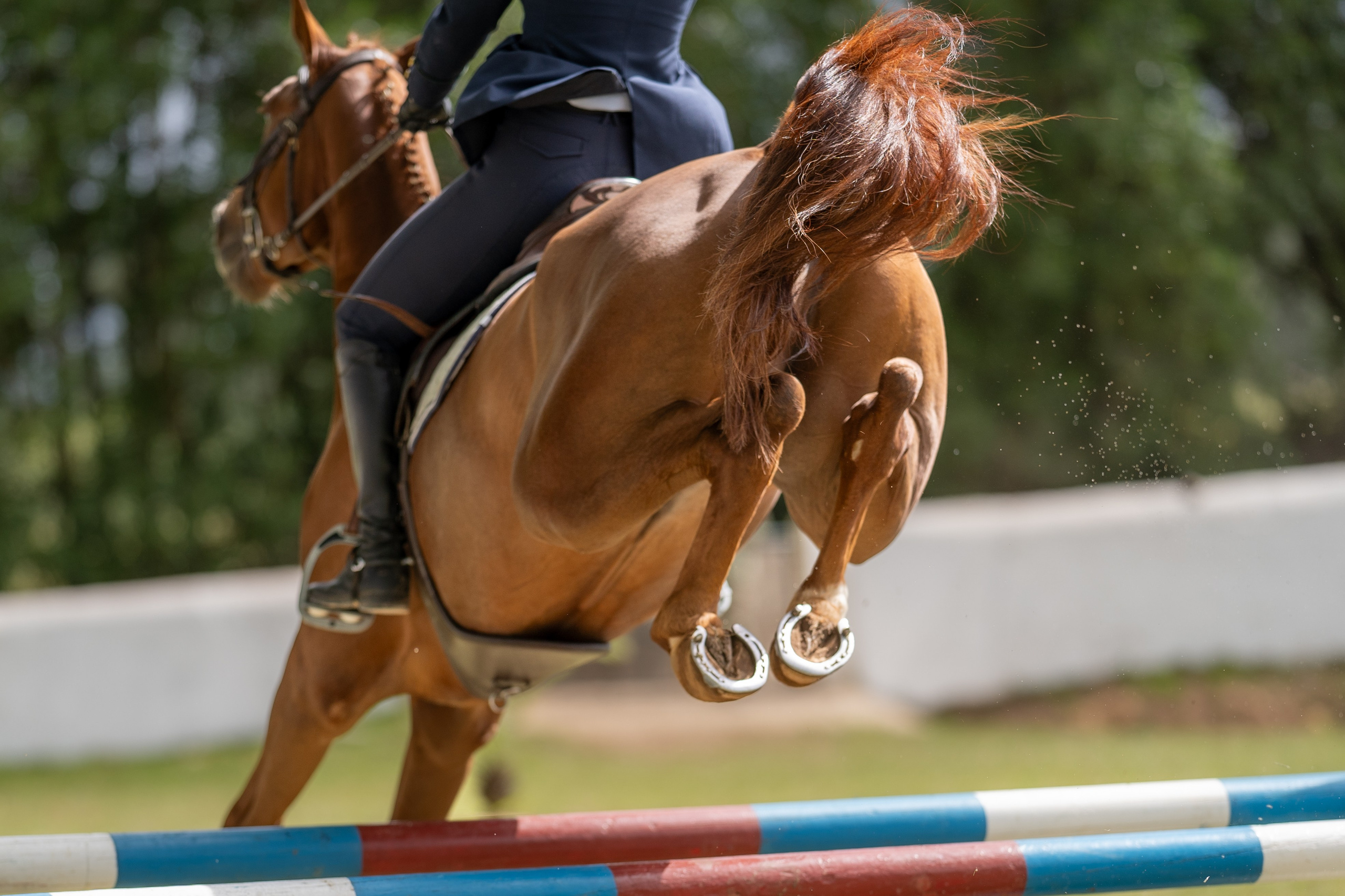 Lisbon photo walk. Event, portrait, content photographer in Lisbon and surrounding areas