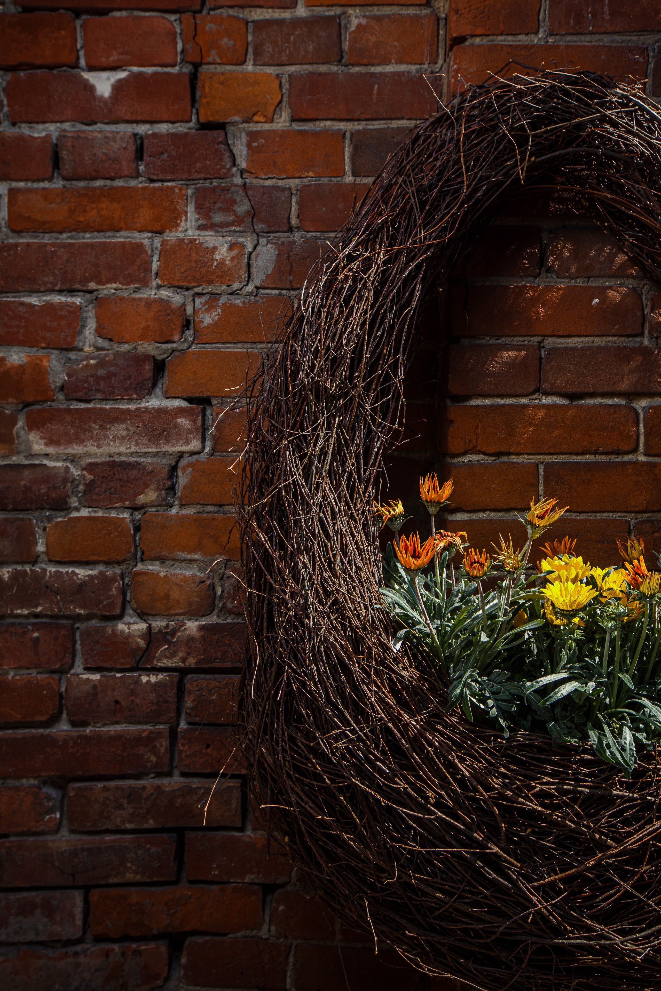 Fotos de ramos de flores. Fotógrafo de retrato, familia y reportajes en Valencia | España | Europa Vitalii Lumier