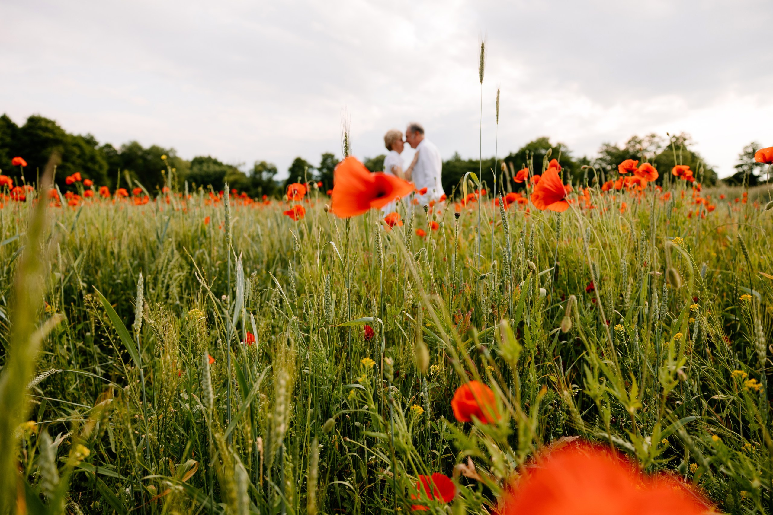 Katarzyna ♡ Dariusz. Fotograf Ślubny Warszawa - Sesje Biznesowe Rodzinne Eventy