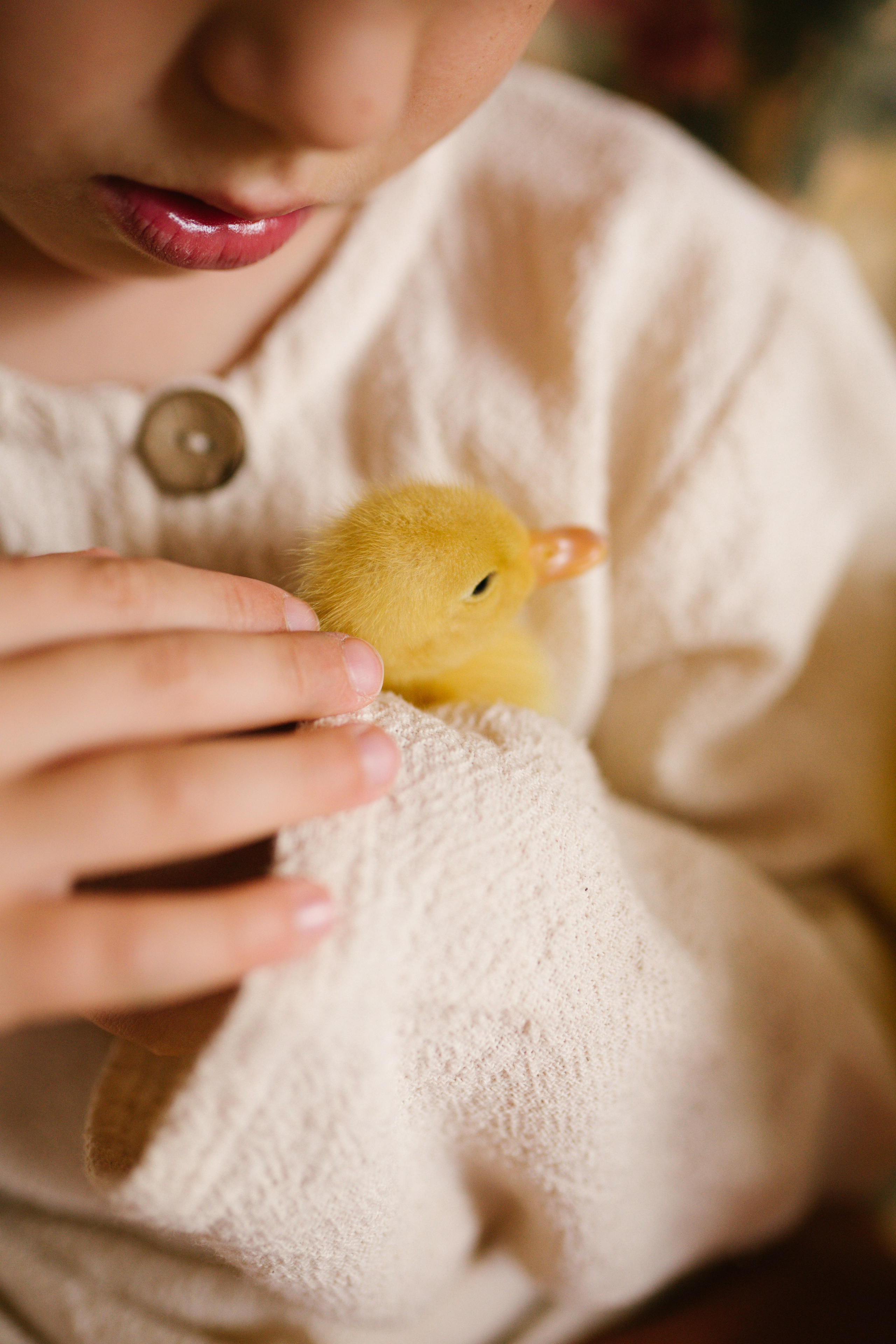 Ședințe Foto de Paște Brașov: Gălbenuș | Mădălina Beda. Madalina Beda- Artist vizual, fotograf, doula la nastere, consultant babywearing Brasov si in toata tara
