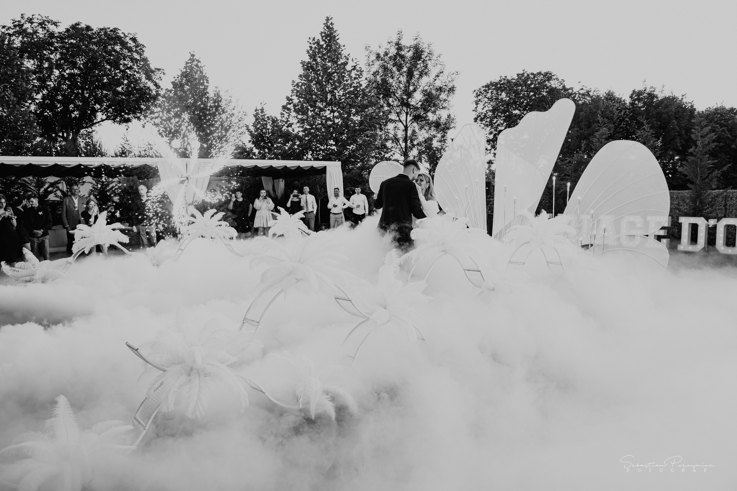 Bianca & Iulian. Sebastian Purusniuc Fotograf - Iasi