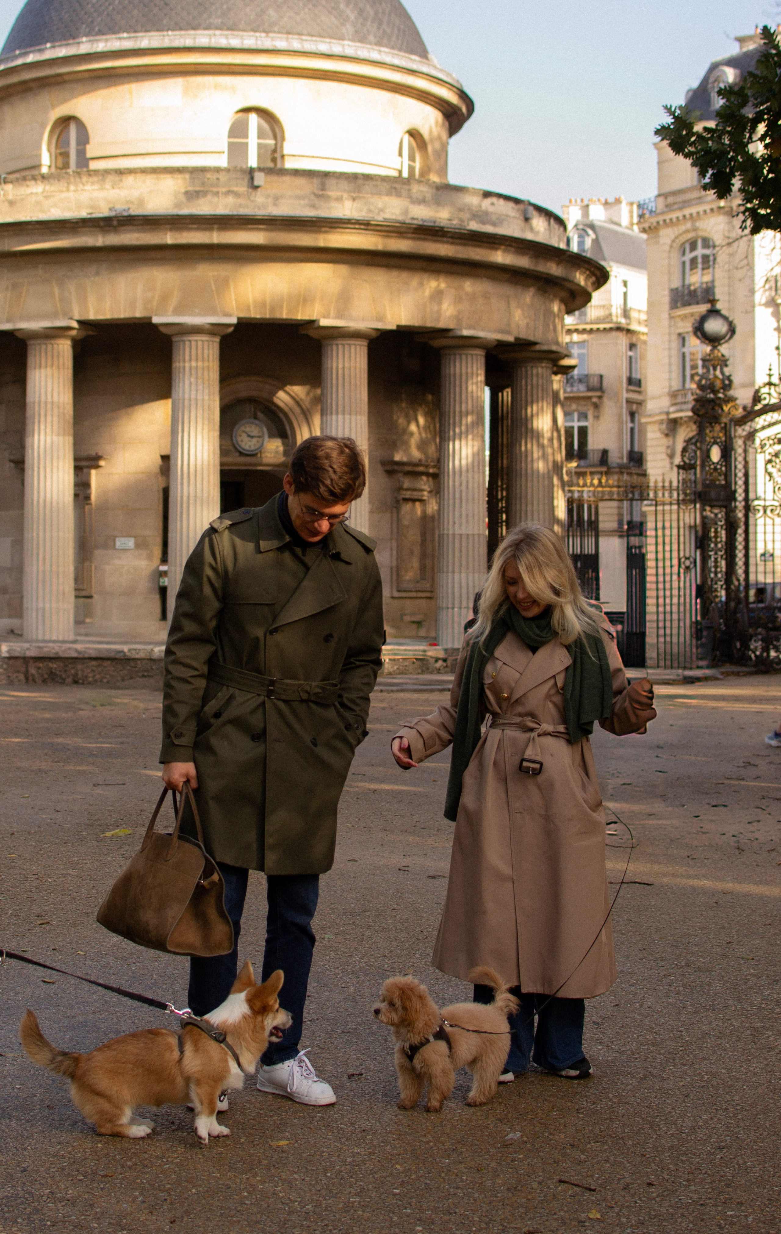 Barney, Nastya et Kolya. Photographe animalier à Paris Anna Pereira