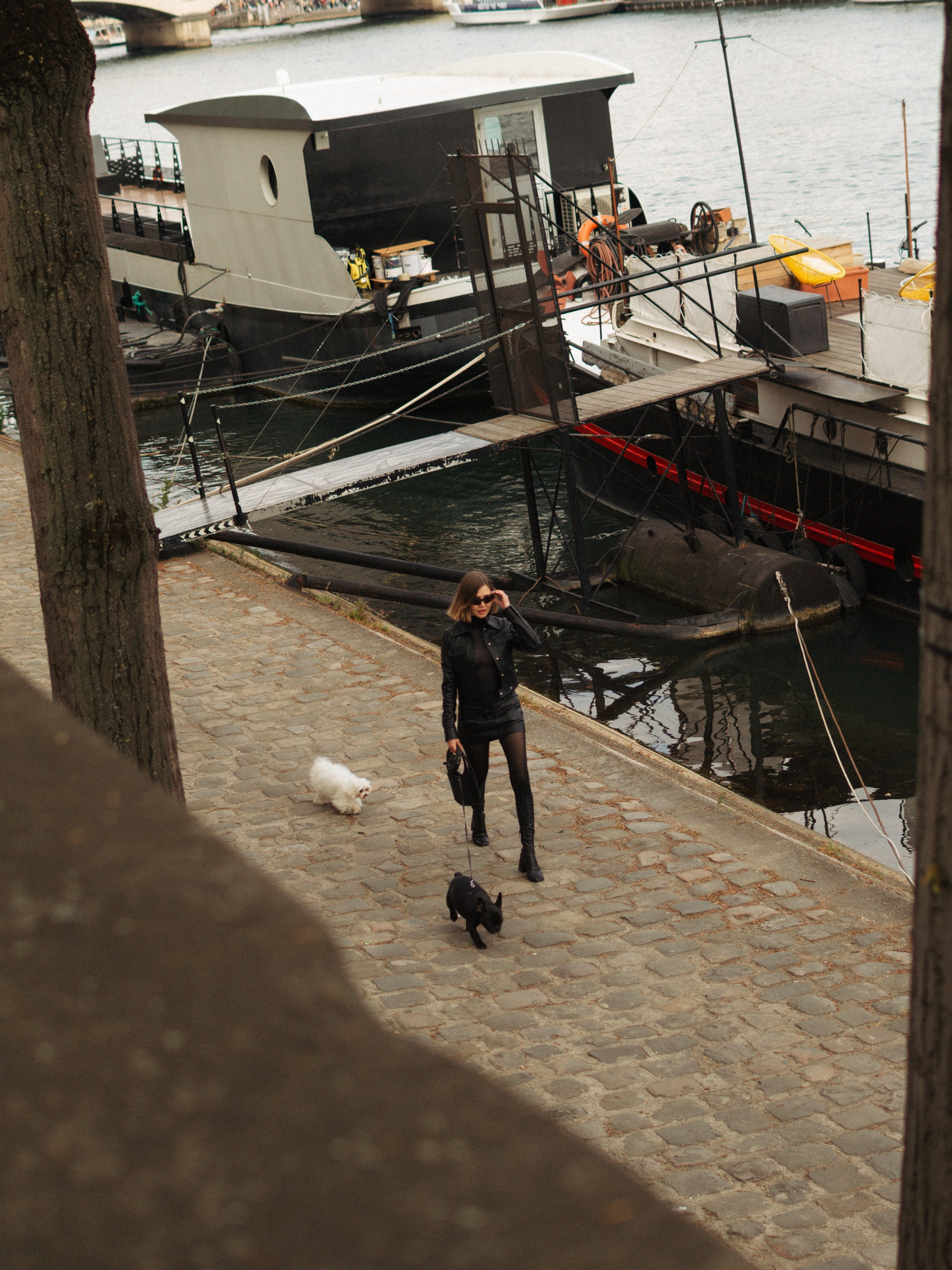 Tanya, Daisy et Jador. Photographe animalier à Paris Anna Pereira