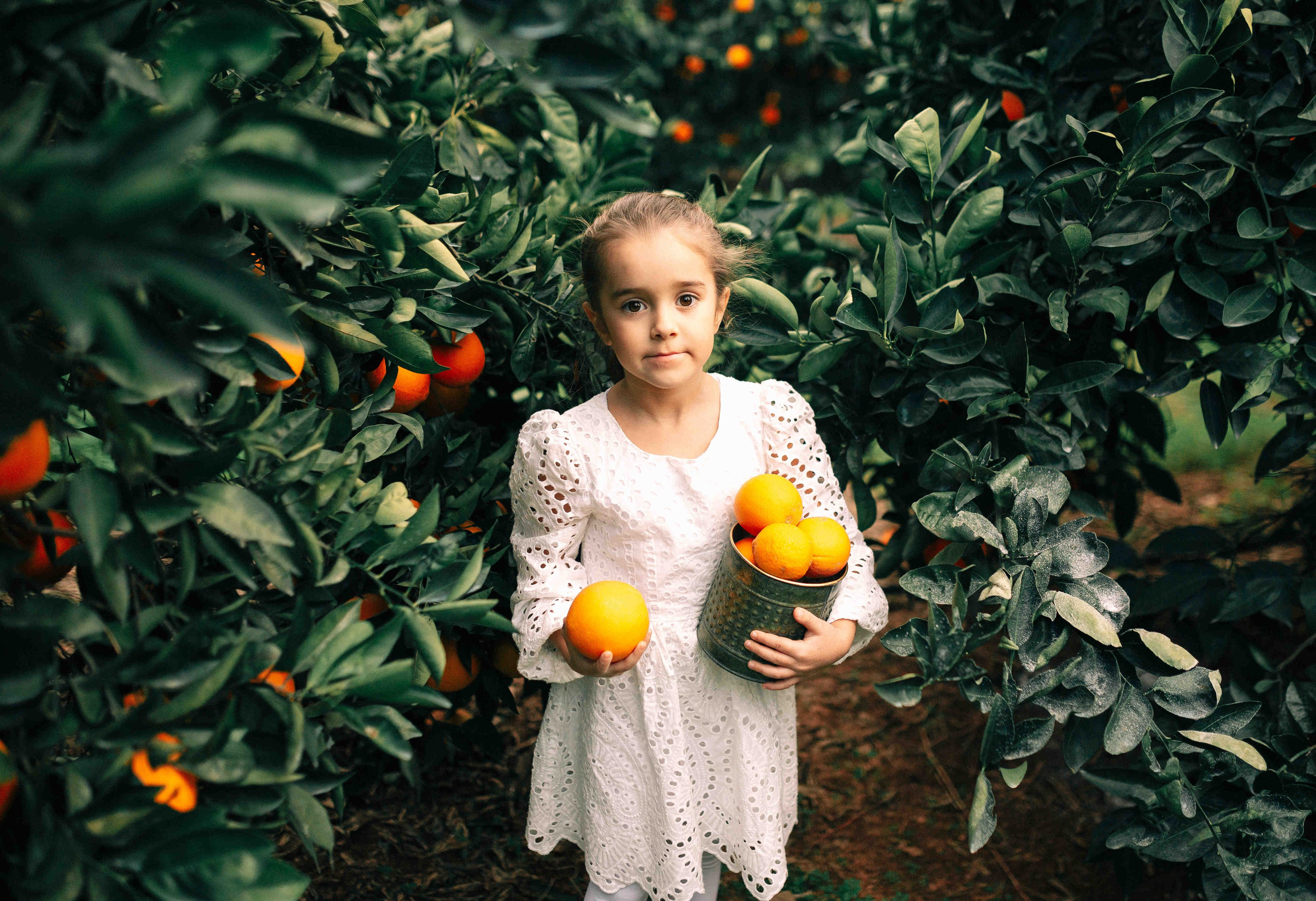 MANDARNINE GARDEN. Https://shi-photo.com/