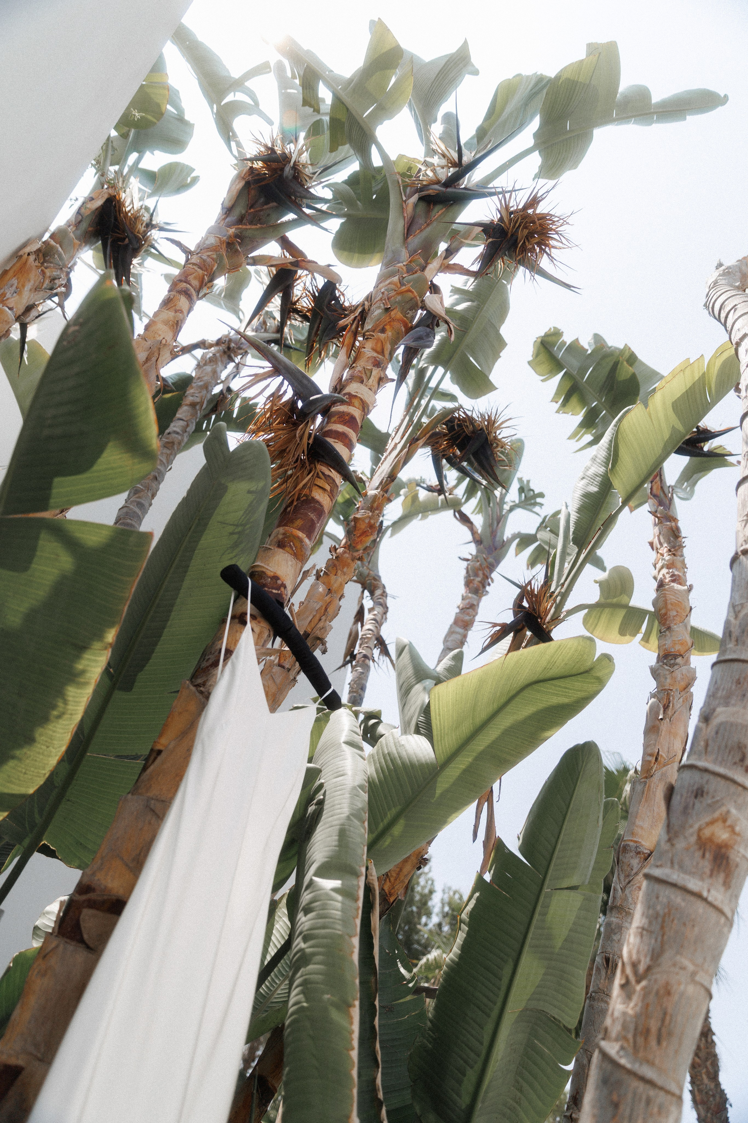 Camilla & Mirko. Sabina Ibiza. Paola wedding photographer / videographer in Barcelona