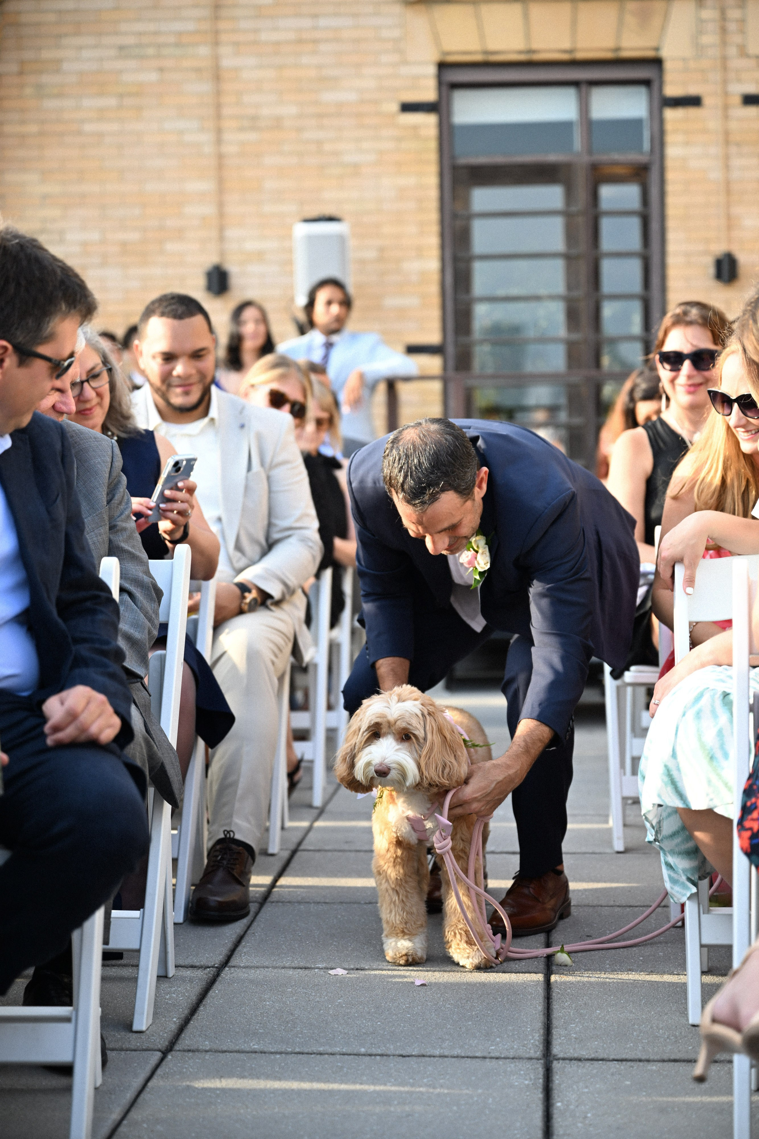 a man kneeling down to pet a dog