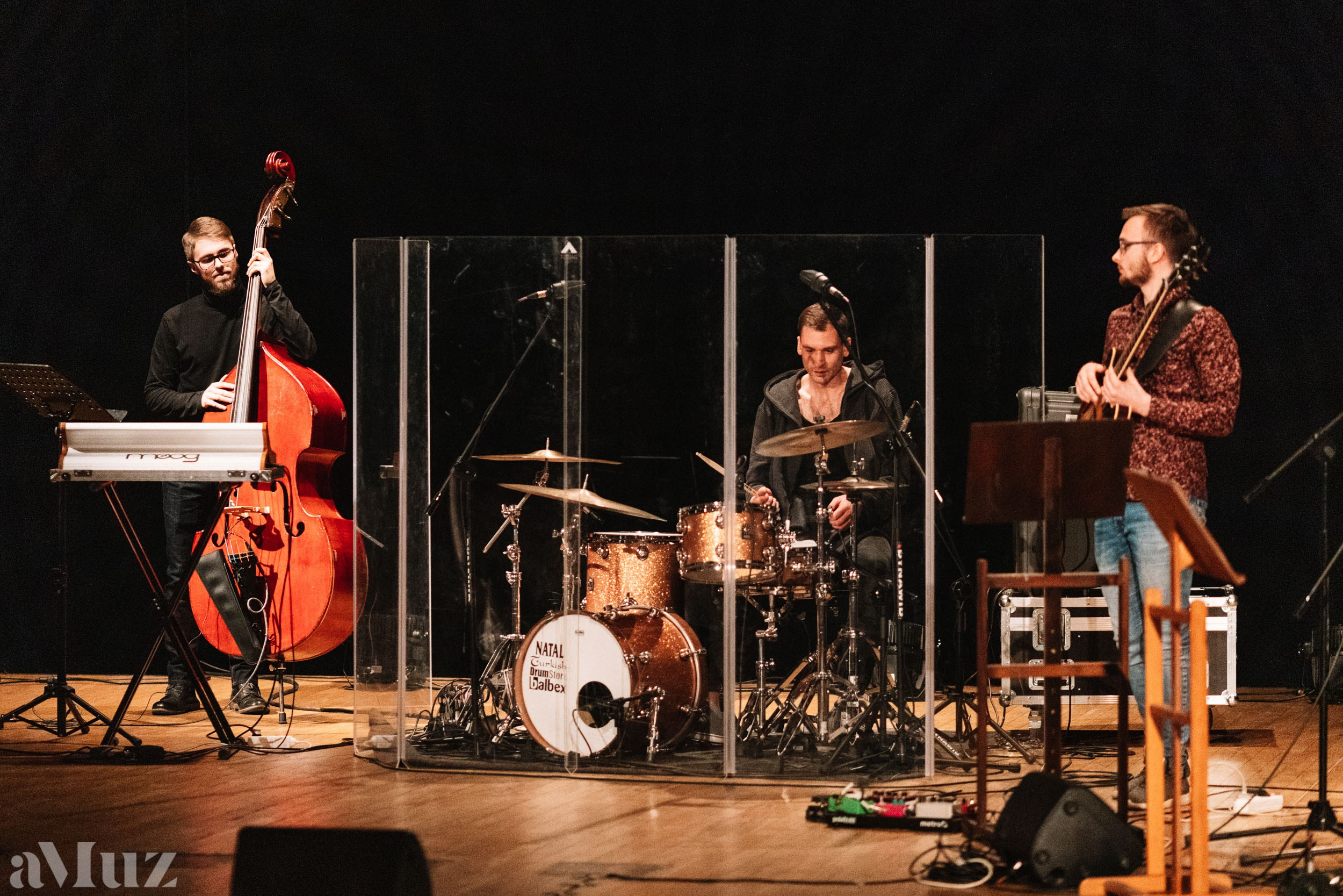 Jazz Zaśpiewam. Fotograf Ślubny Warszawa - Sesje Biznesowe Rodzinne Eventy