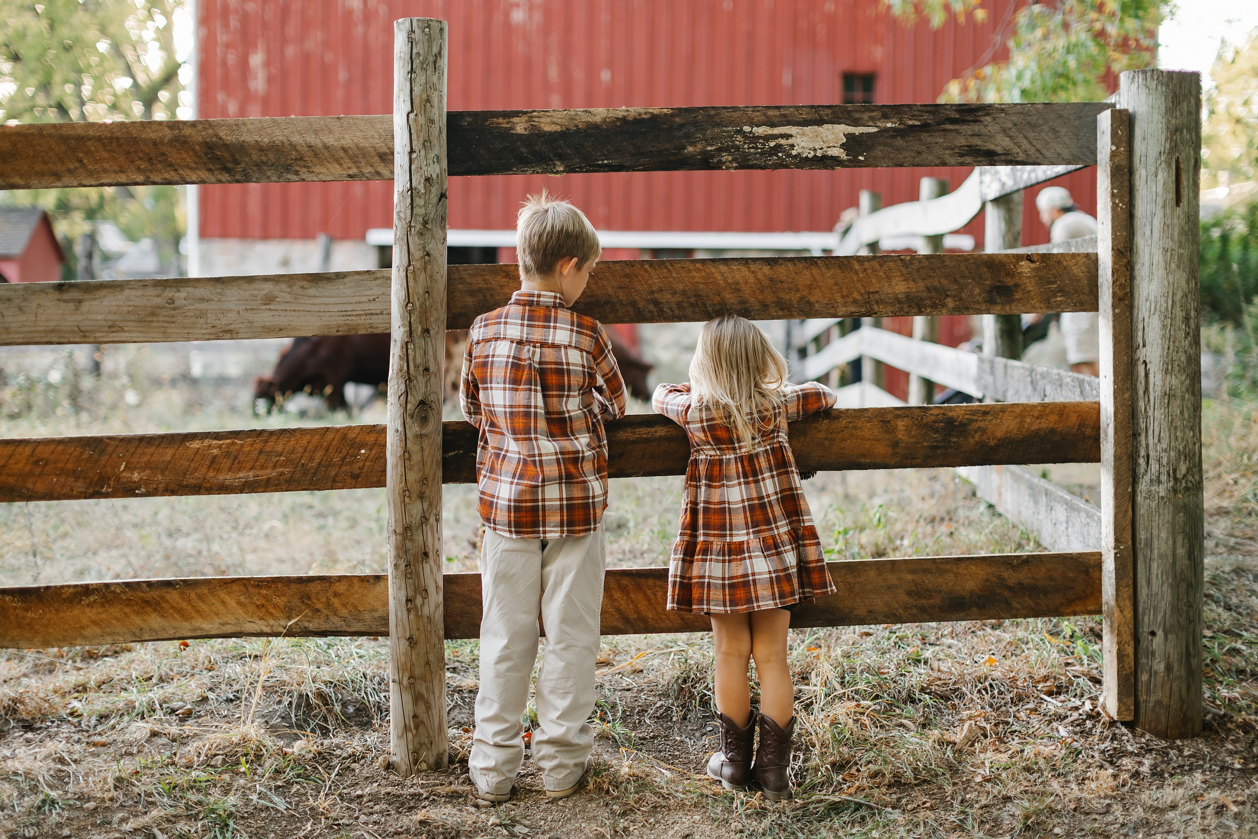 10.05.25 Family Photoshoot. Wedding family event photographer in Chicago Nick Yushevich