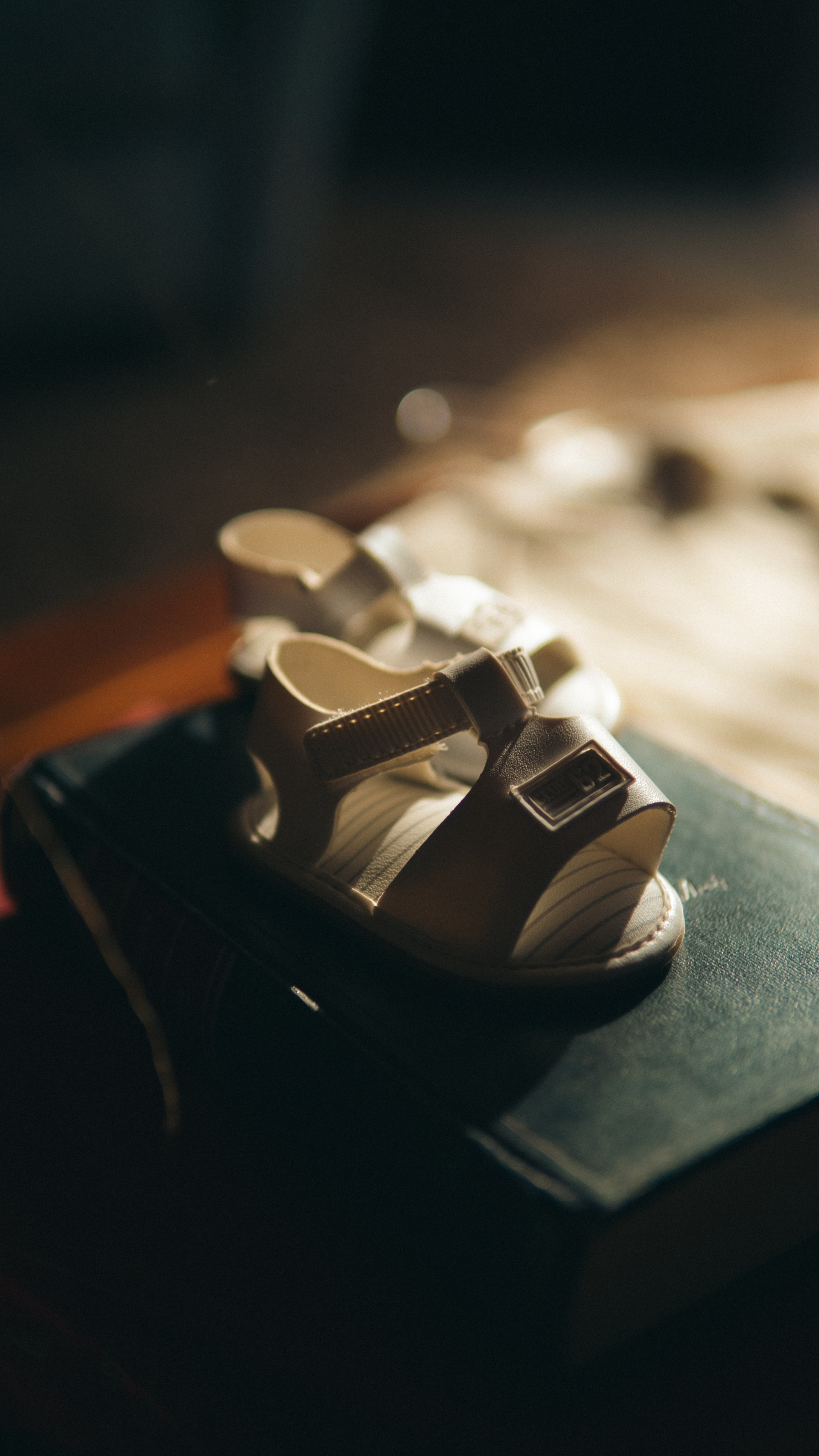 Família e Gestante. Reference Visuals