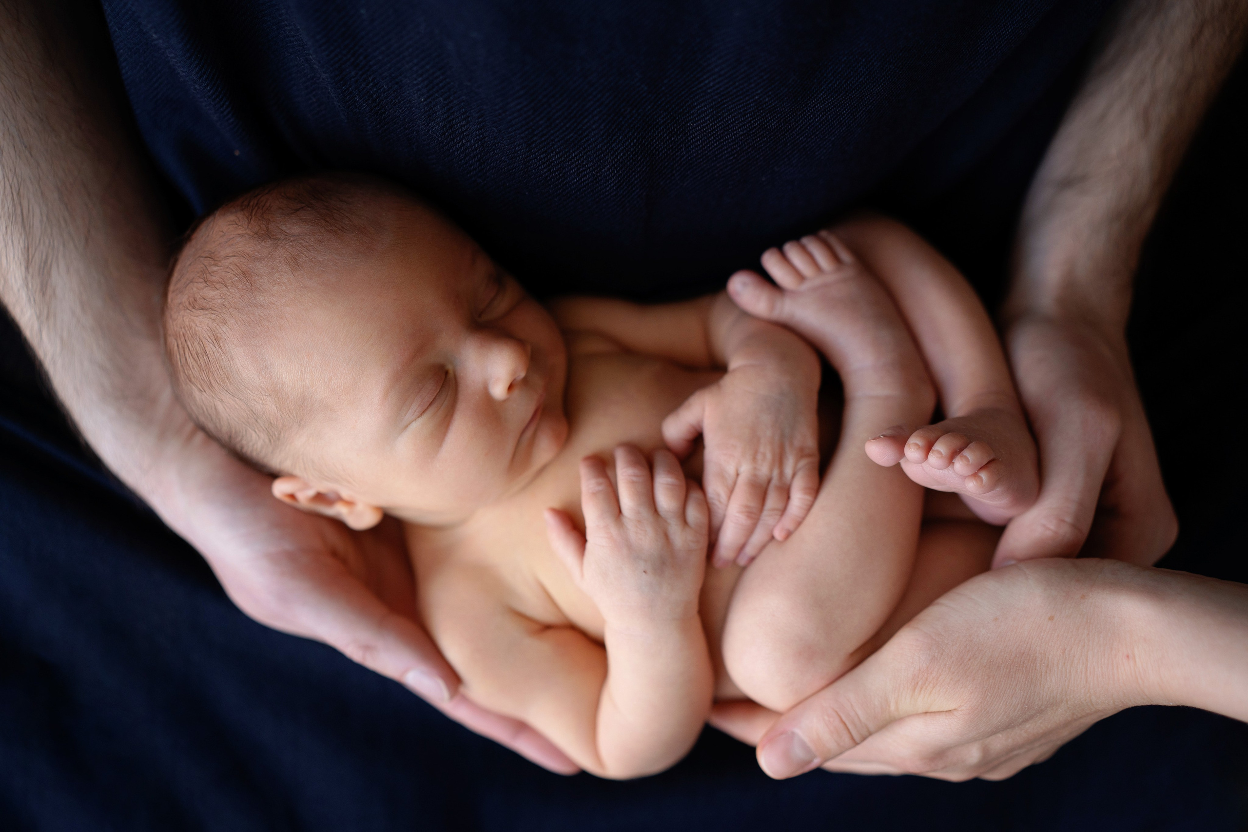 Лео и Соня (10 дней и 5 лет). Фотограф новорожденных и детей первого года Евгения Михалькевич