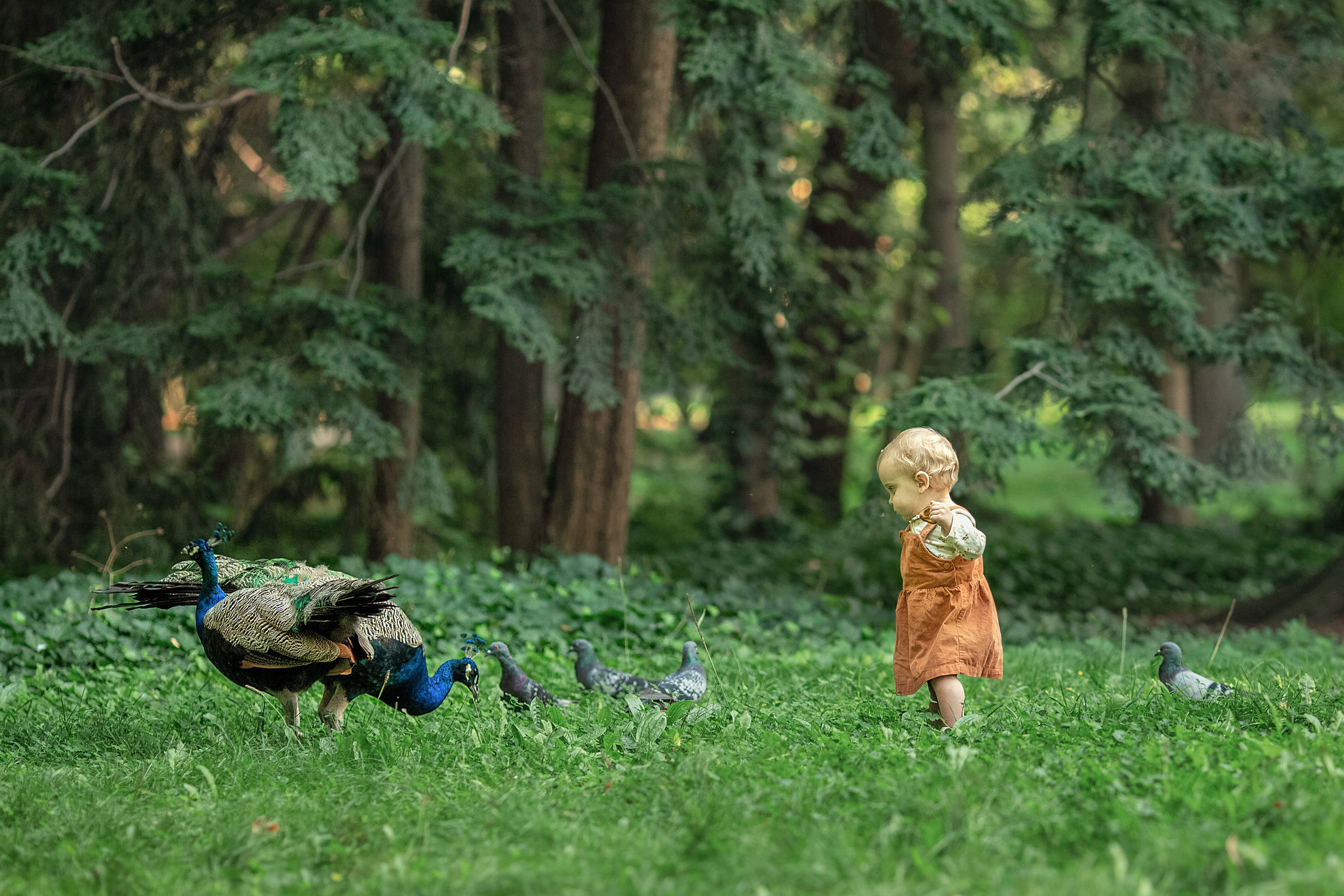 Семья. Family and children photographer in Warszaw Liudmila Babrouskaya