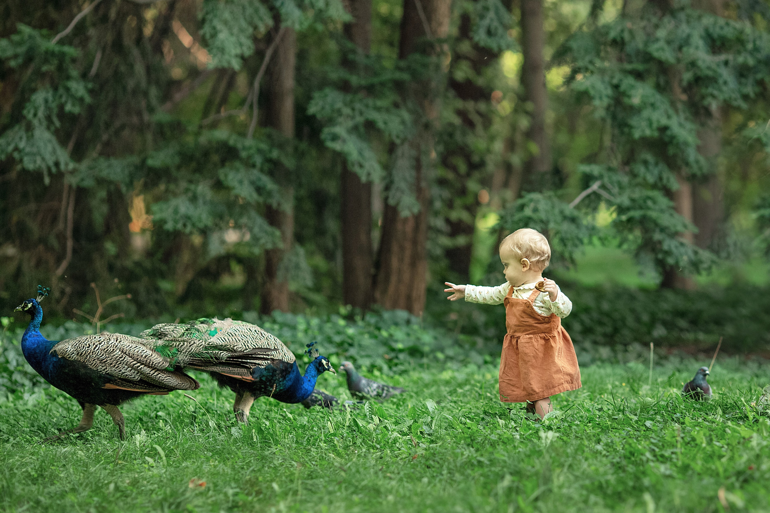 Семья. Family and children photographer in Warszaw Liudmila Babrouskaya