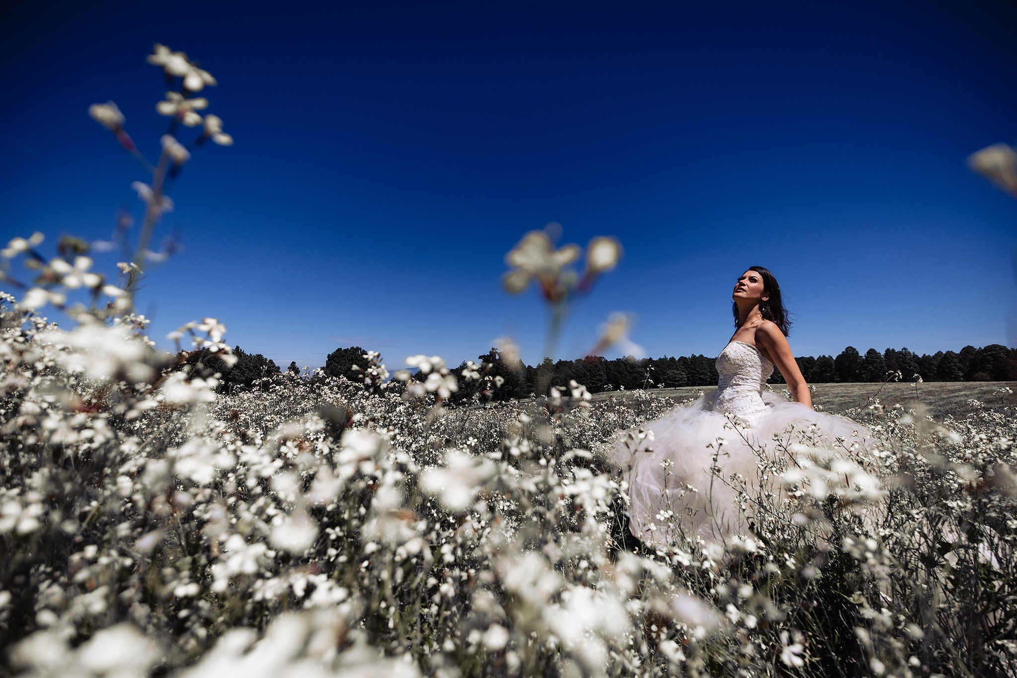 Galería Trash The Dress. Jorge Romero Fotógrafo de bodas