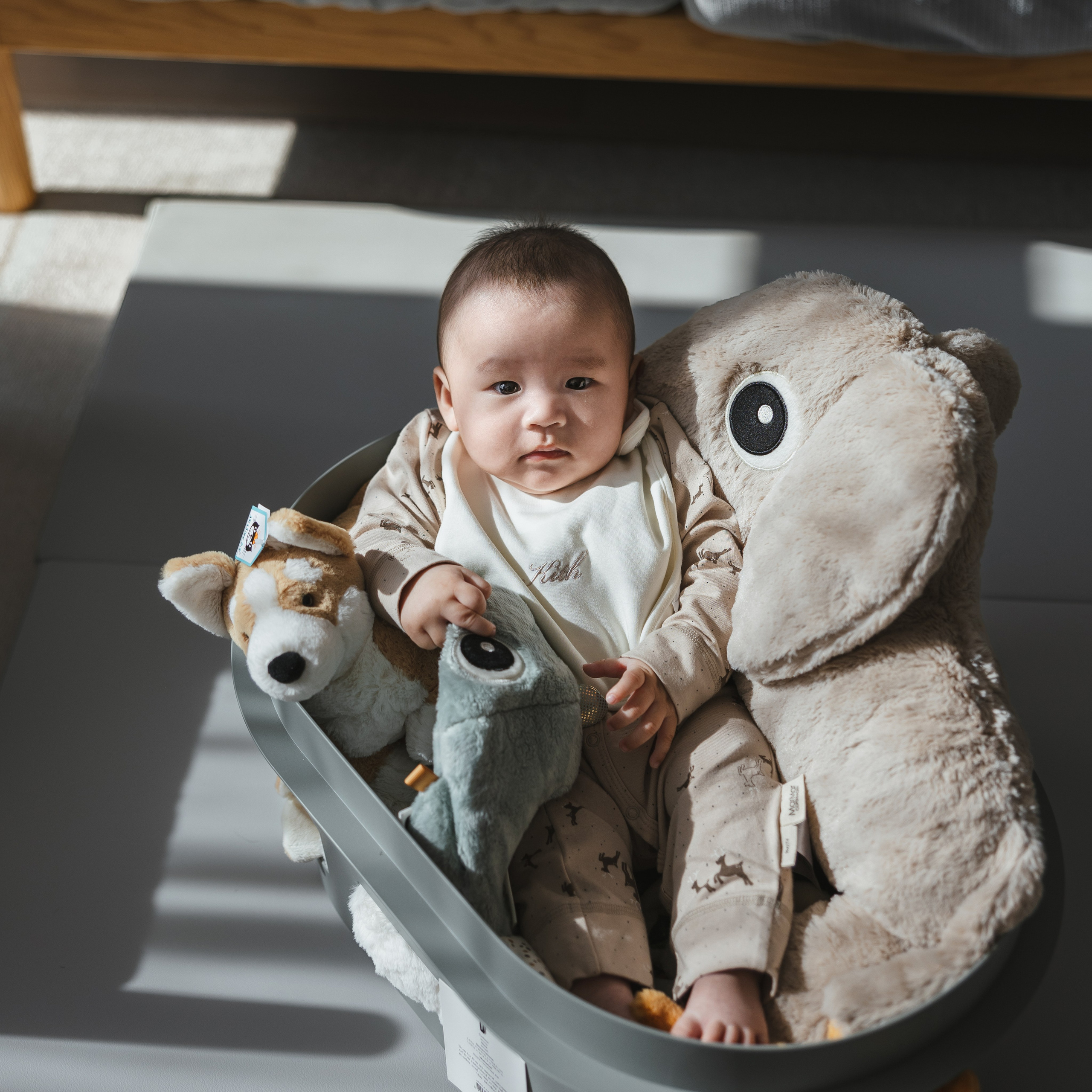 NewBorn photo shoot. Shanghai Family Photographer Dora