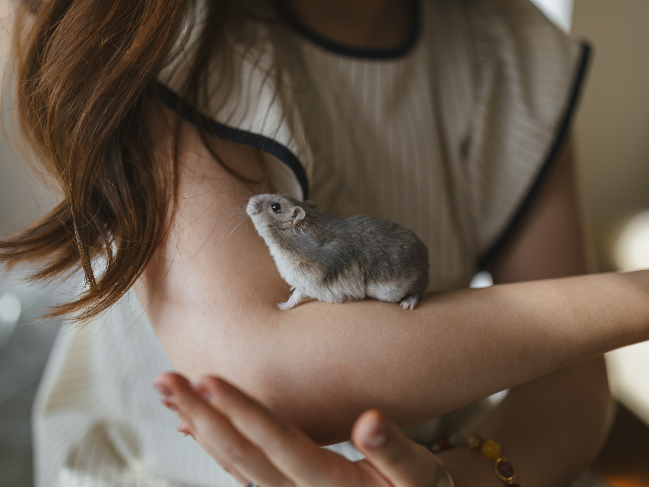 Photos of pets. Shanghai Family Photographer Dora