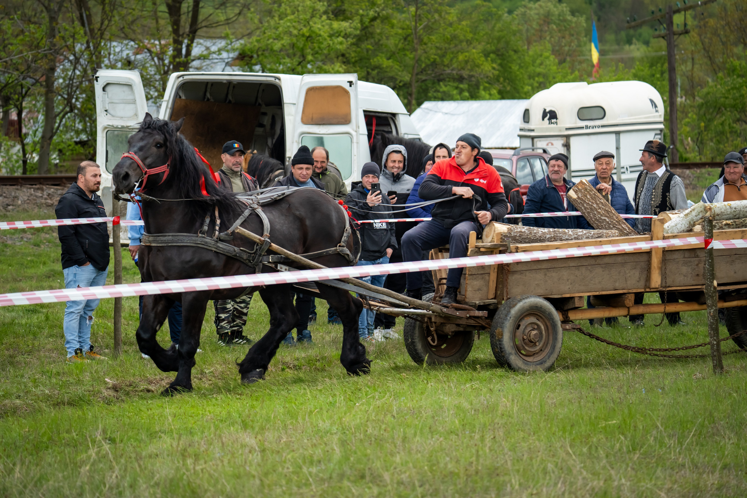 Concurs Ecvestru Vărbilău ediția a 4-a. Mihai Alexandra Events
