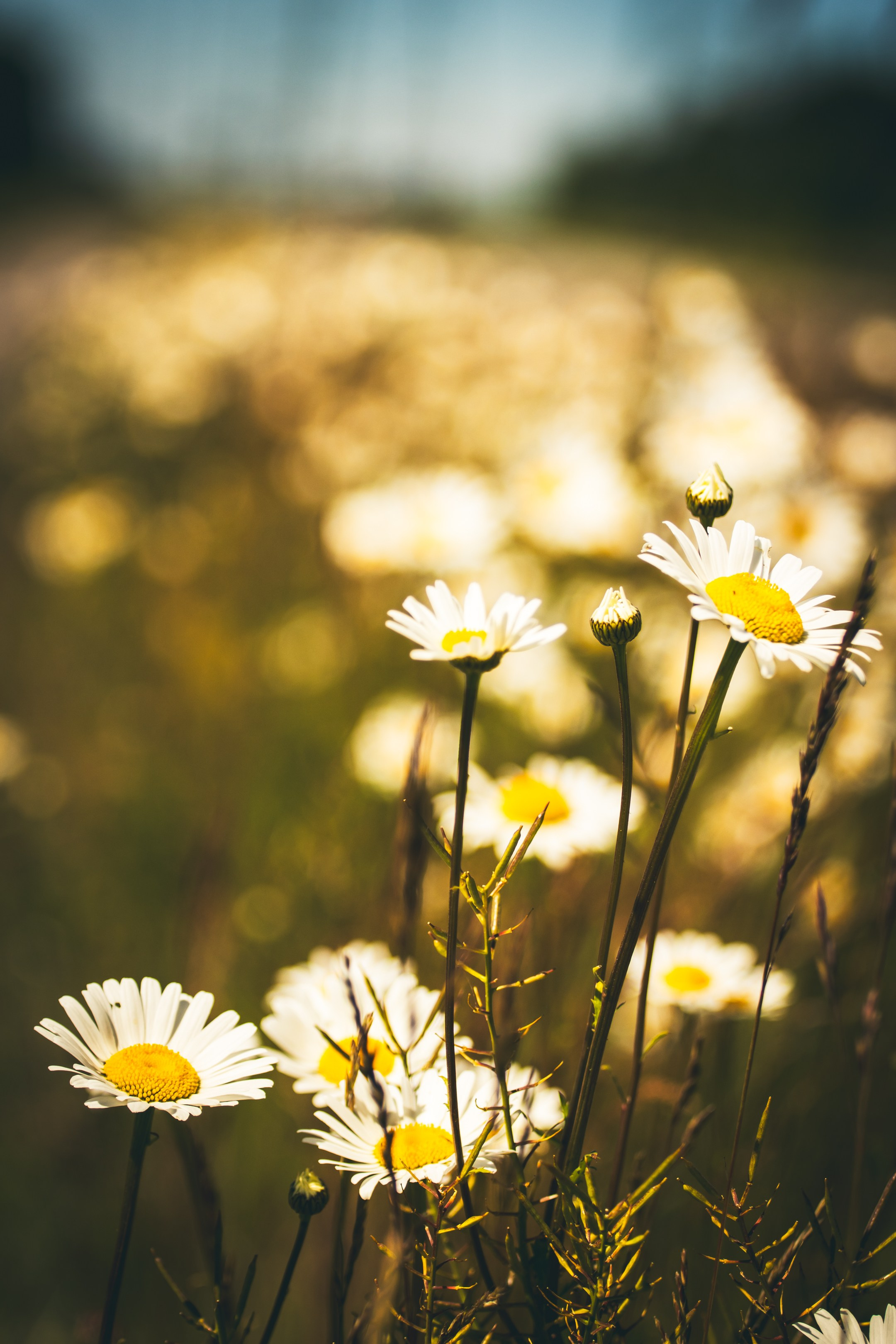 Jalgrattasõit ümbruskonnas. Nebula 25 — Fotod teie hingele