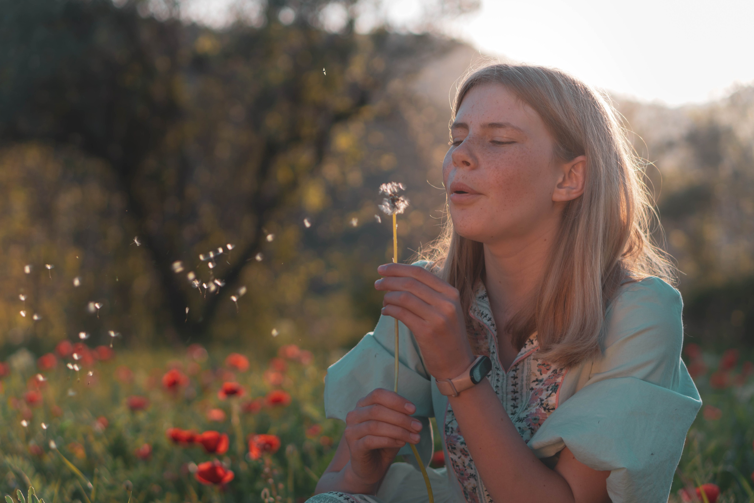 Agnia & Amapolas. Alba del Norte Studio