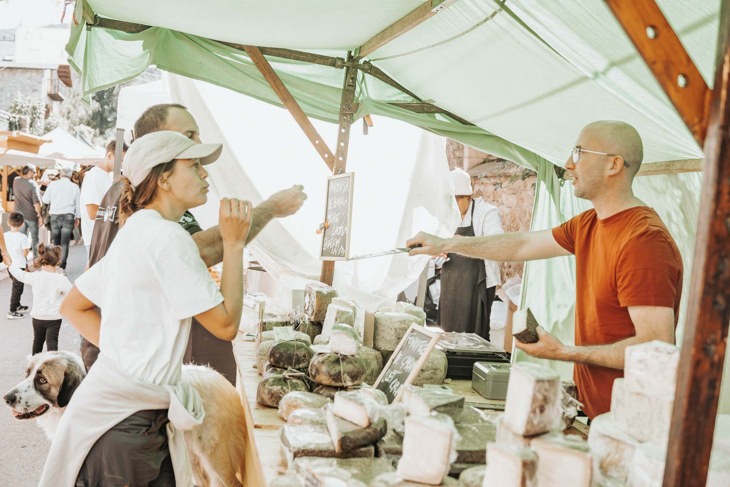 Mercadillo, La Pobleta de Bellveí. Alba del Norte Studio