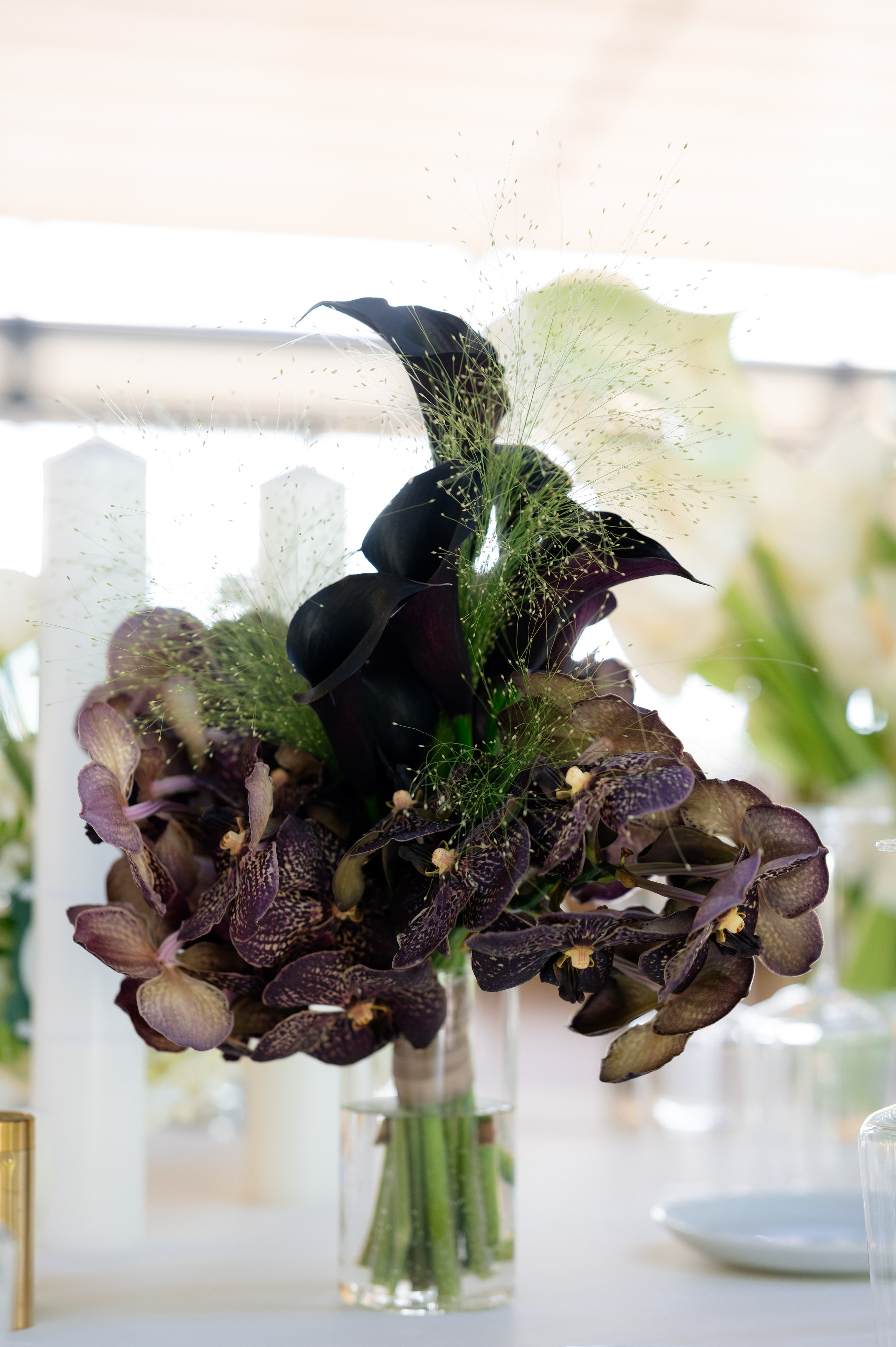 Diana & Octavian. Fotograf de nuntă Alex Pasarelu