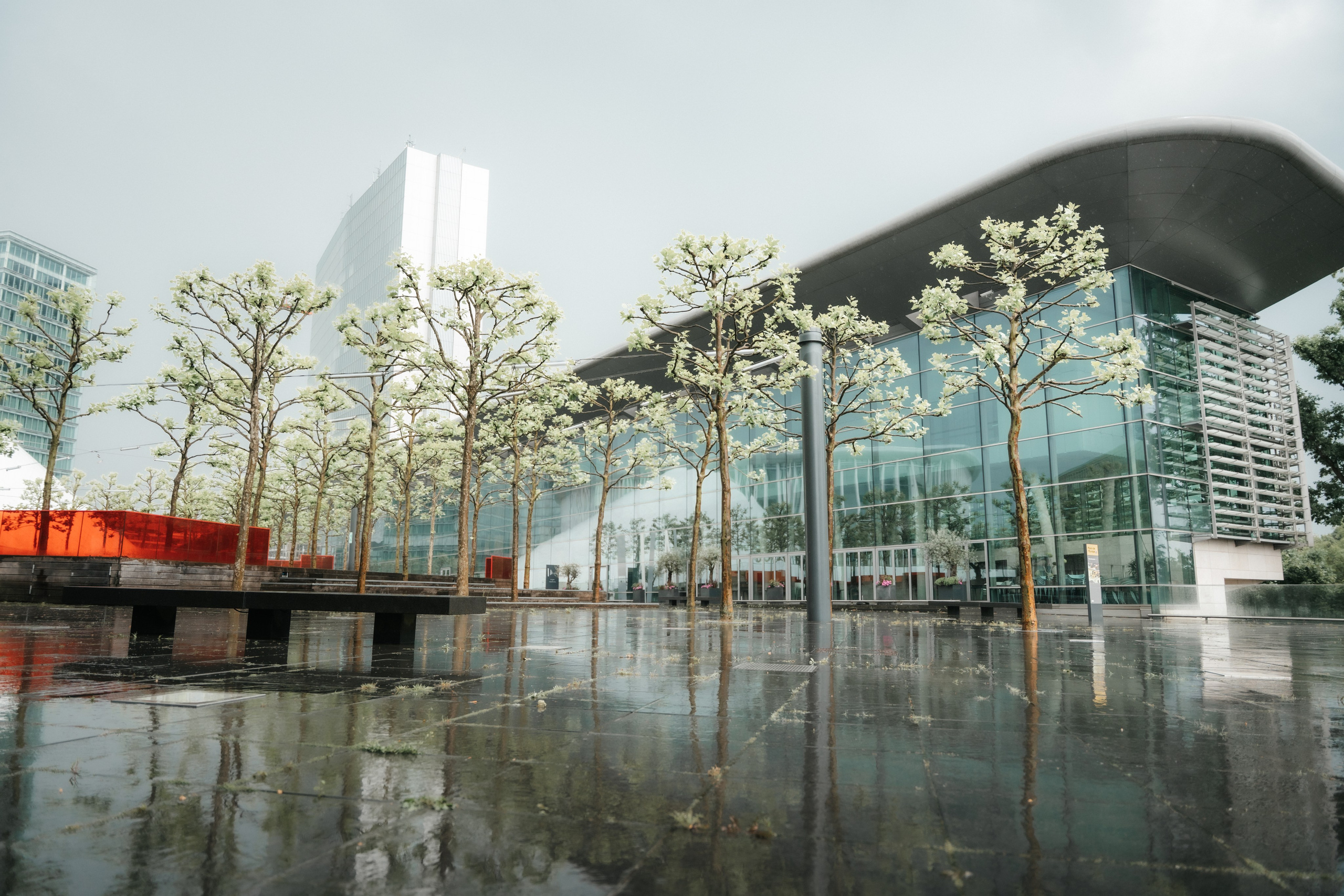 Hochzeit | Luxembourg. Elena Seewald